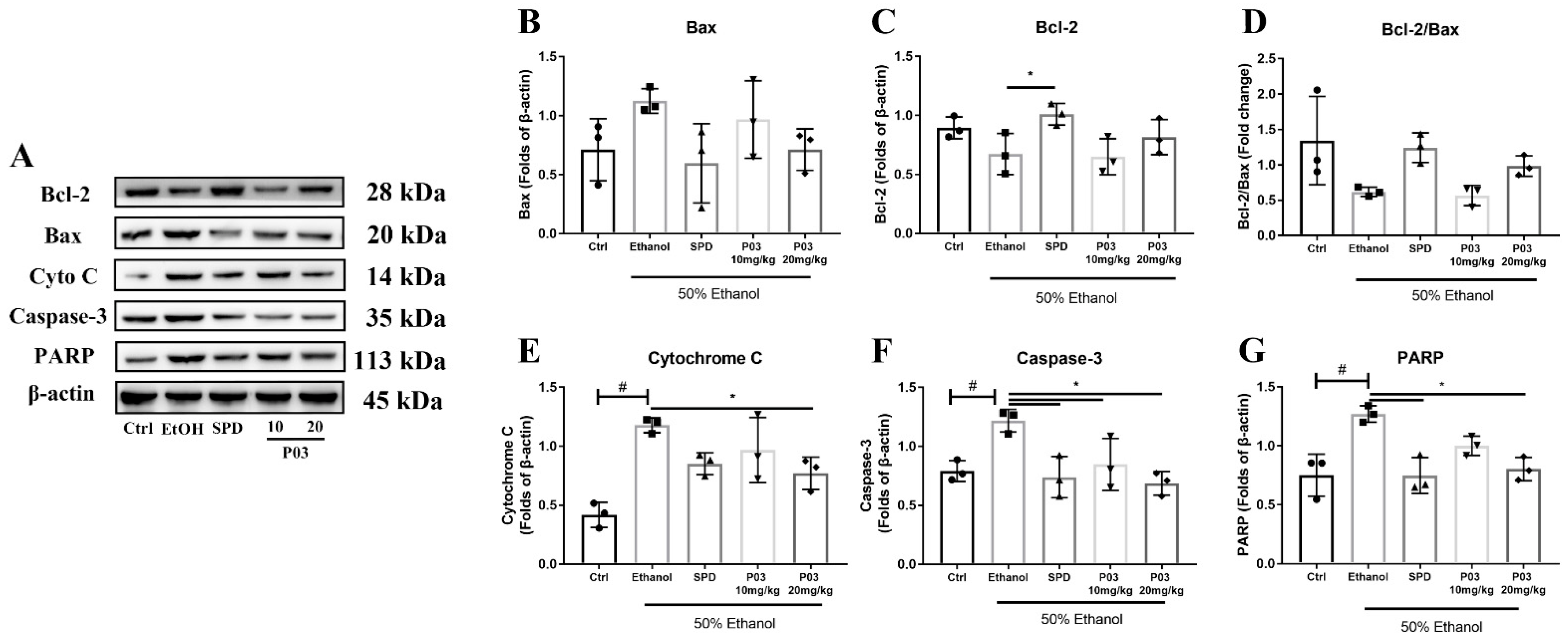 Molecules 27 05839 g008