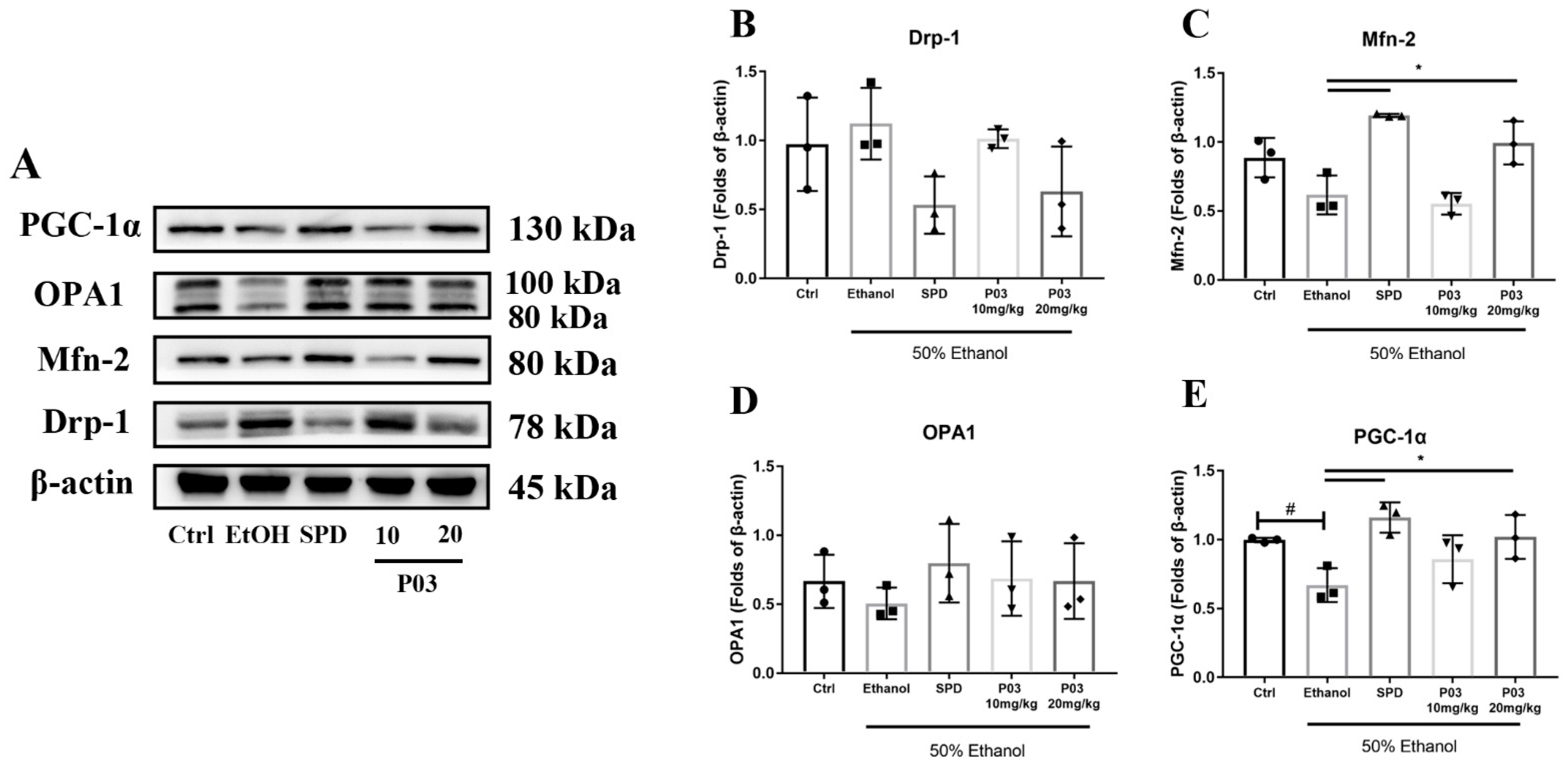 Molecules 27 05839 g009