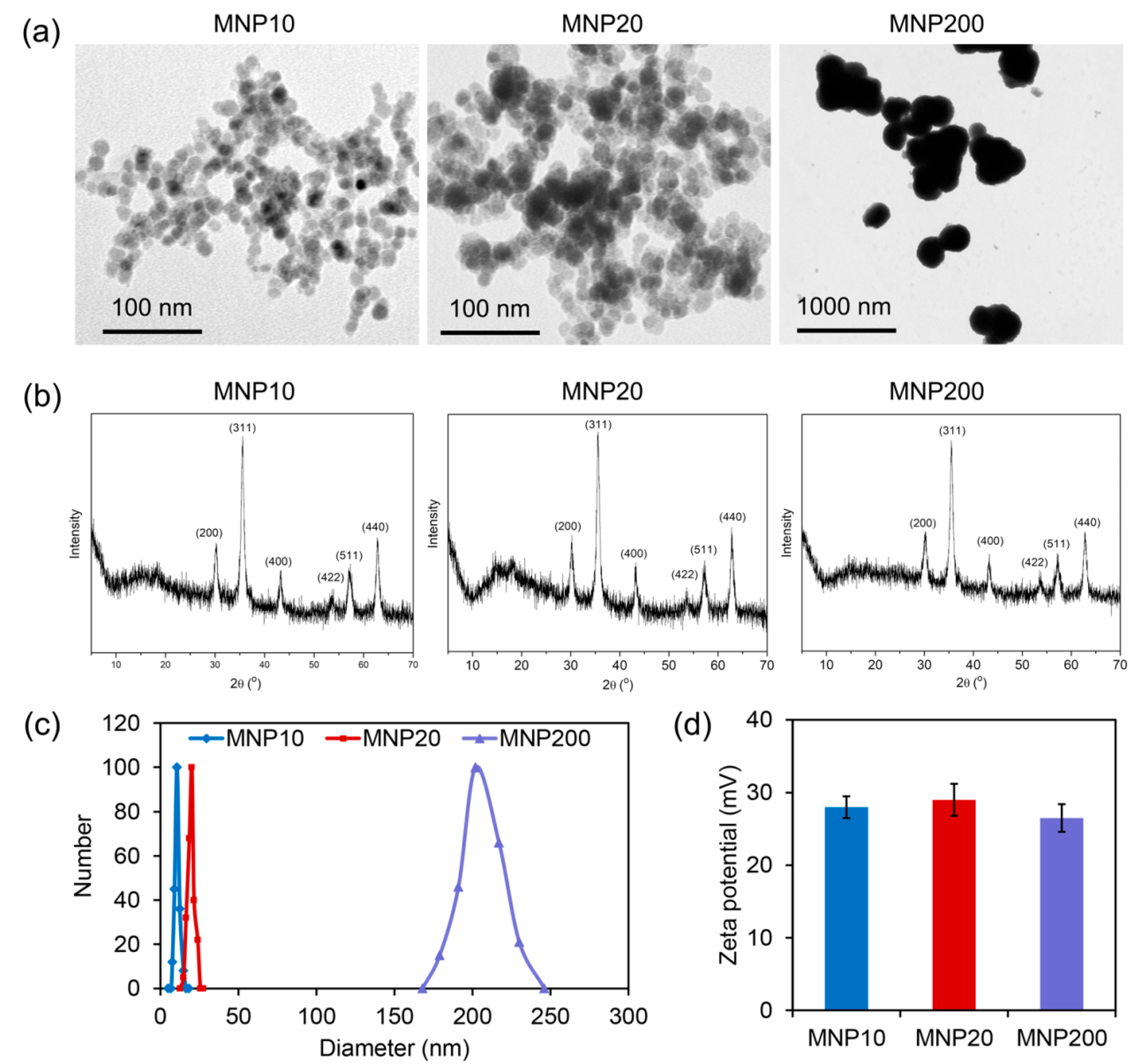 Molecules 27 05840 g001