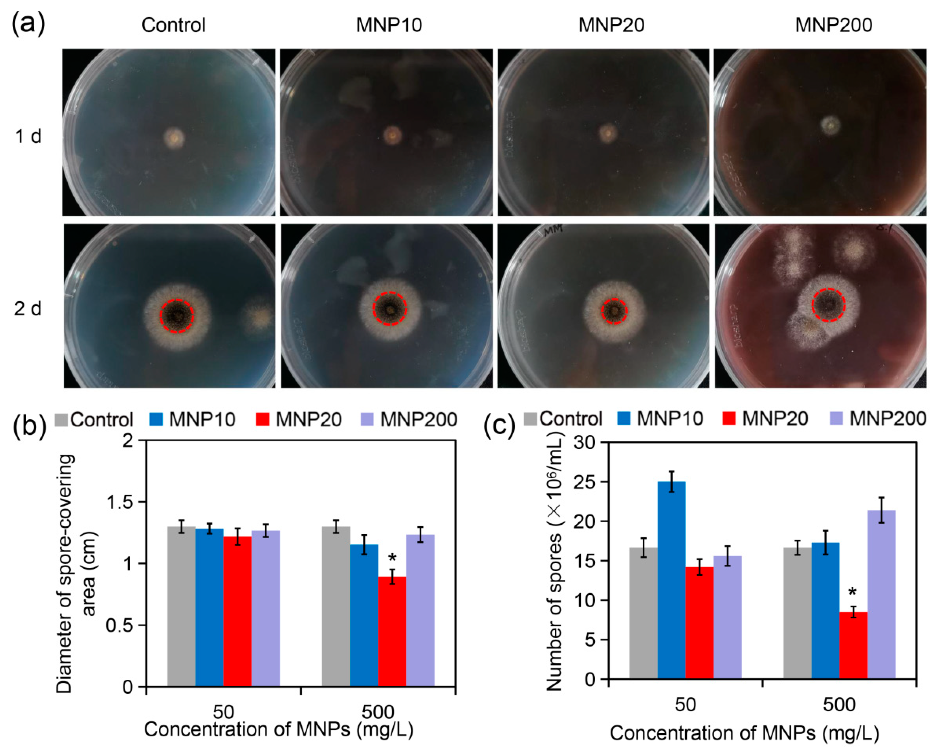 Molecules 27 05840 g002