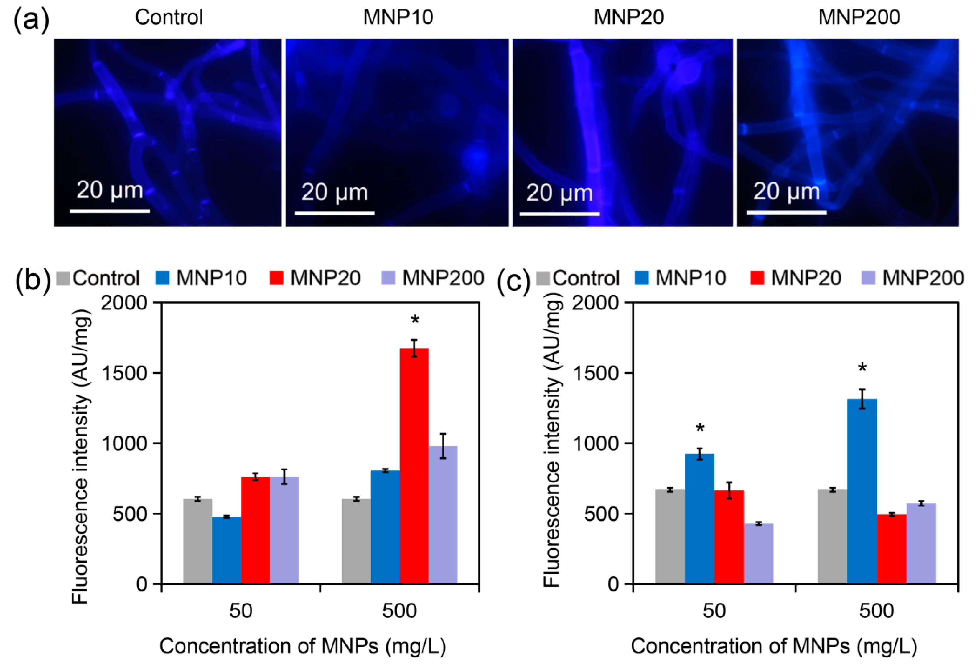Molecules 27 05840 g003