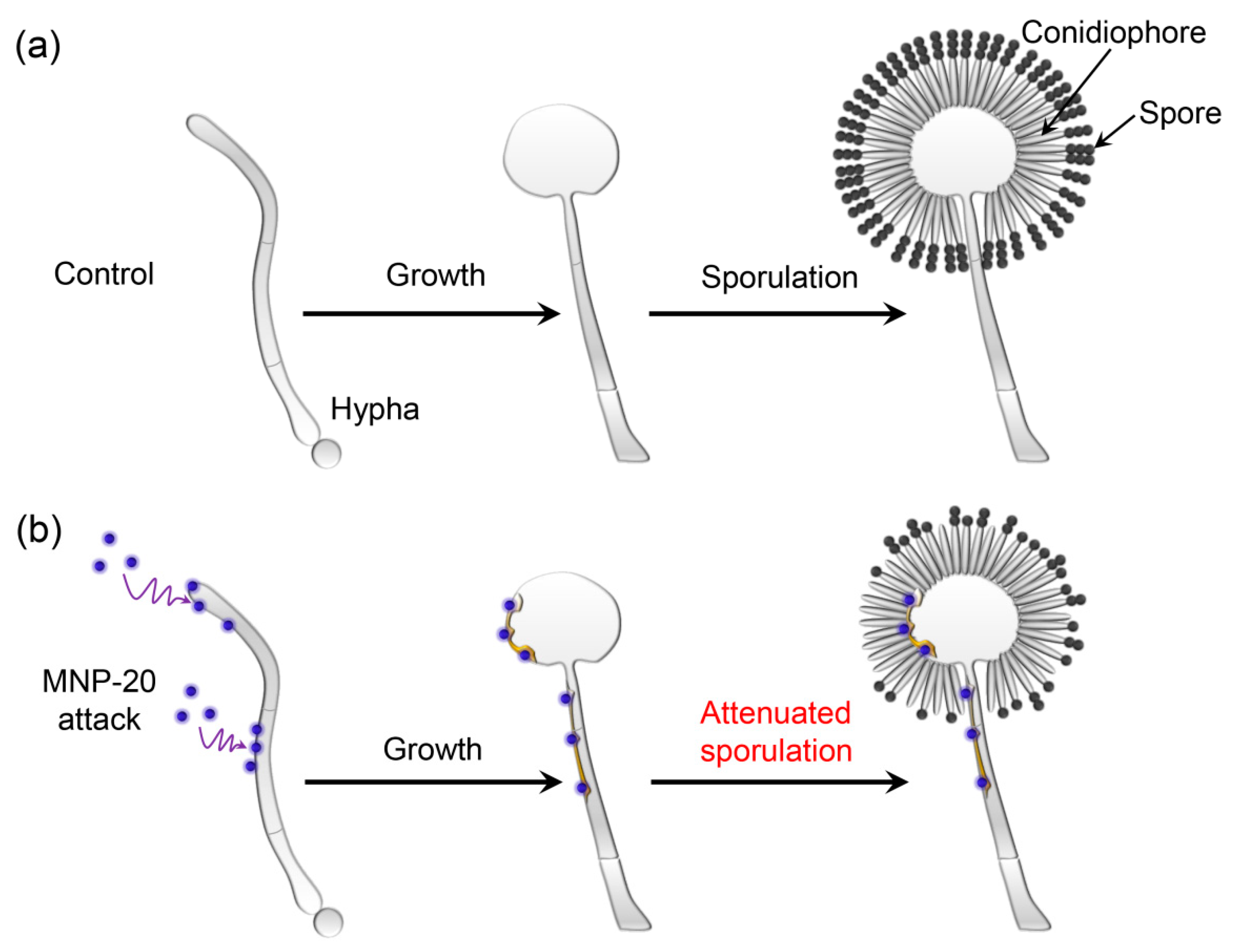 Molecules 27 05840 g006