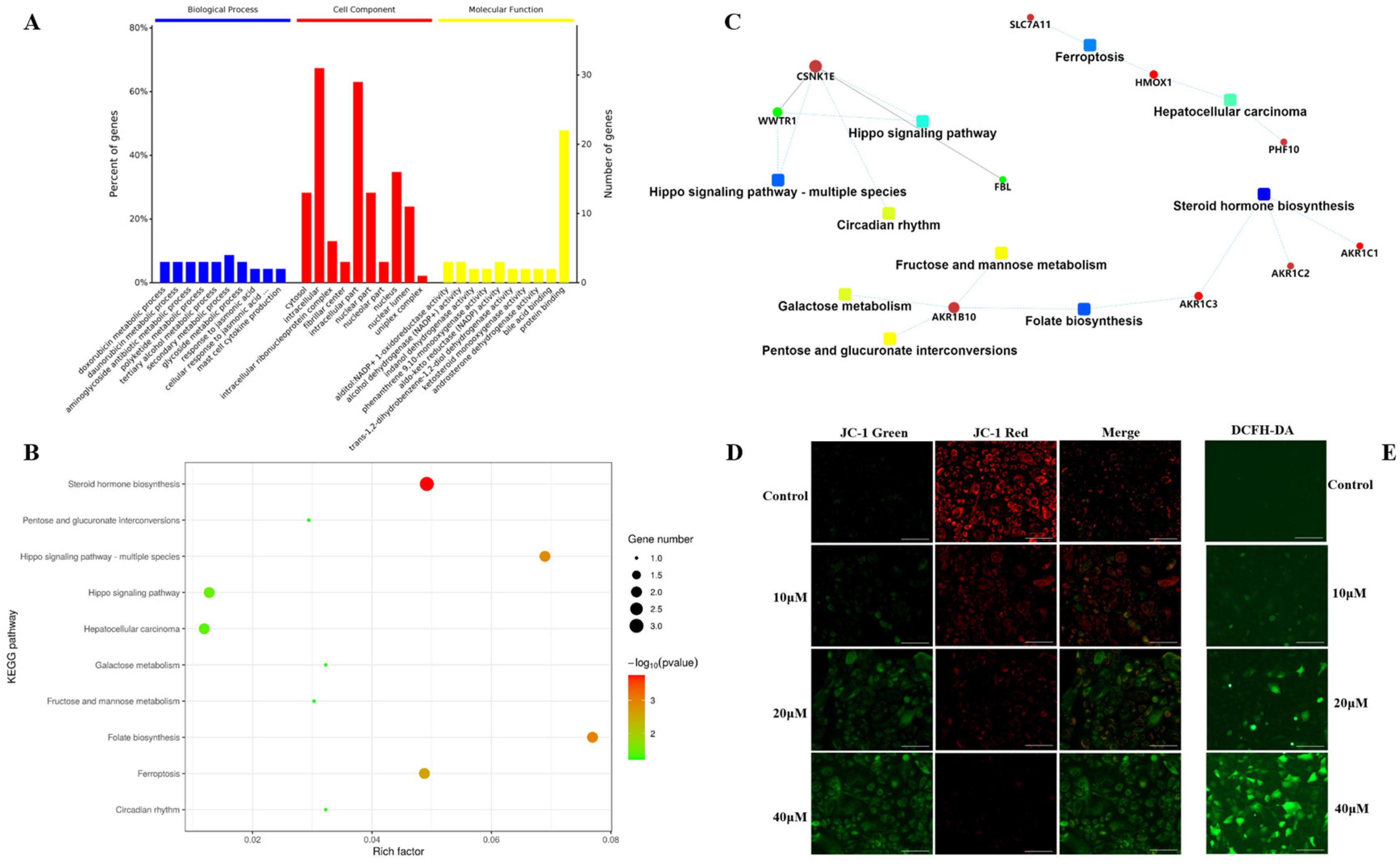 Molecules 27 05841 g004 550