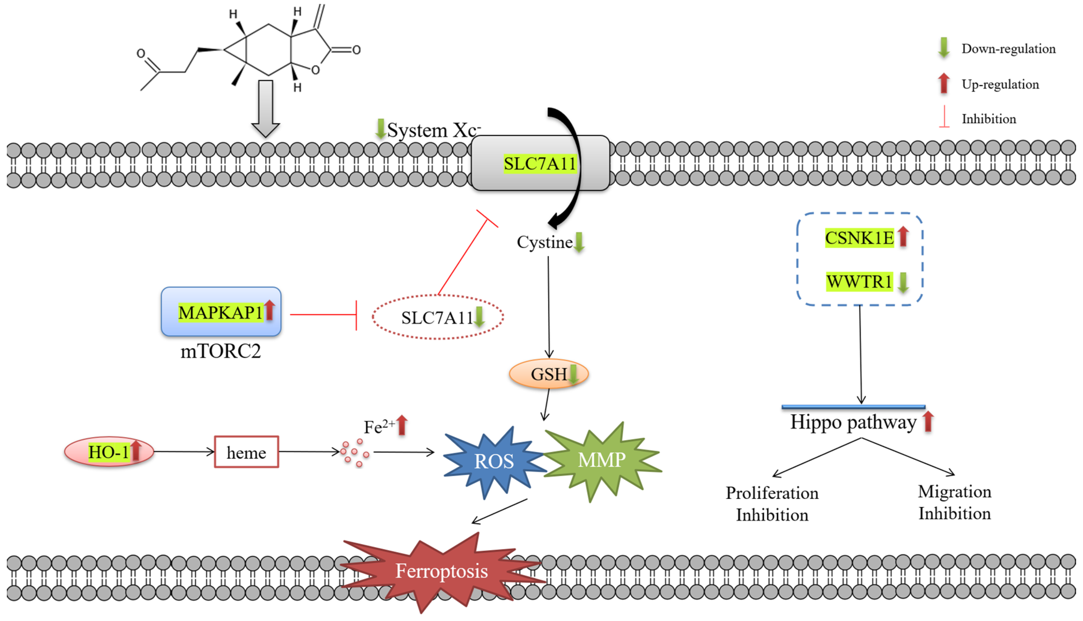 Molecules 27 05841 g005 550