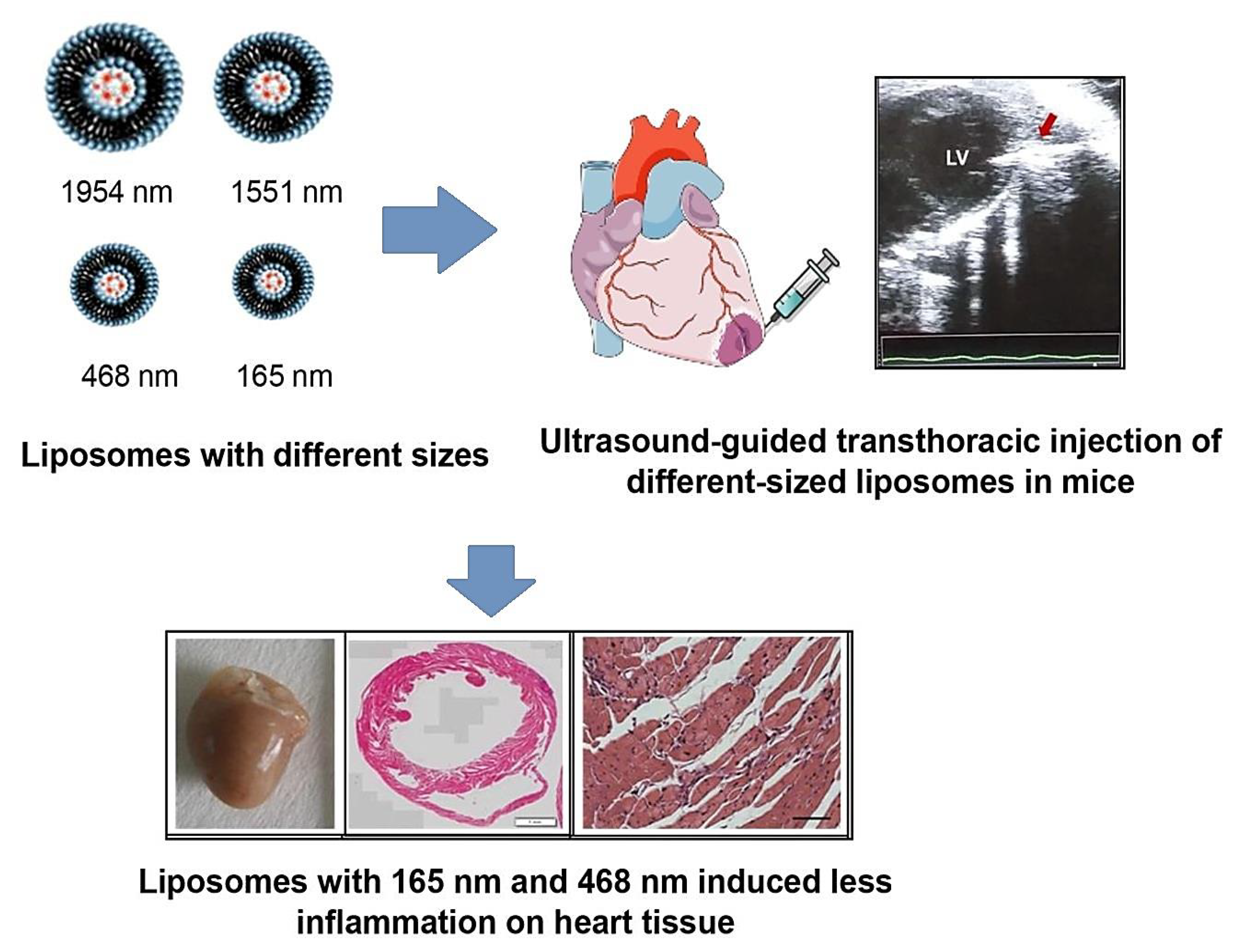 Molecules 27 05843 g003