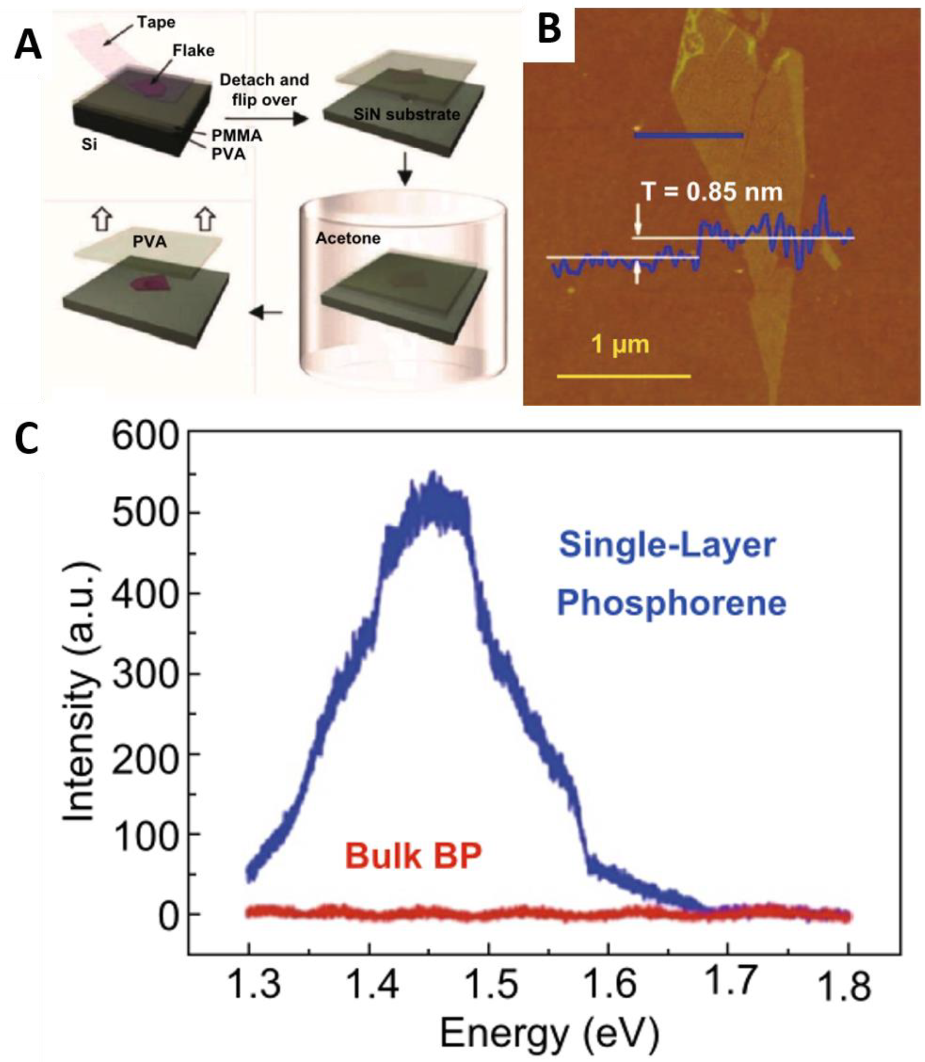 Molecules 27 05845 g001