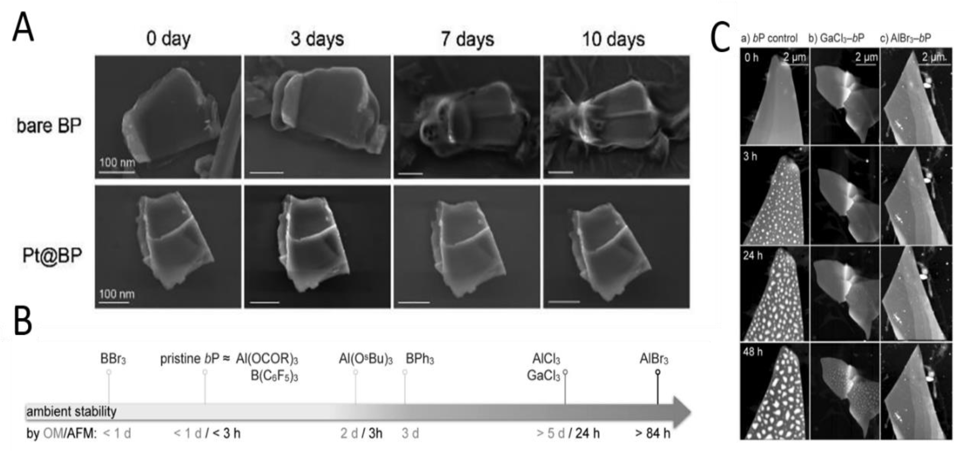 Molecules 27 05845 g005