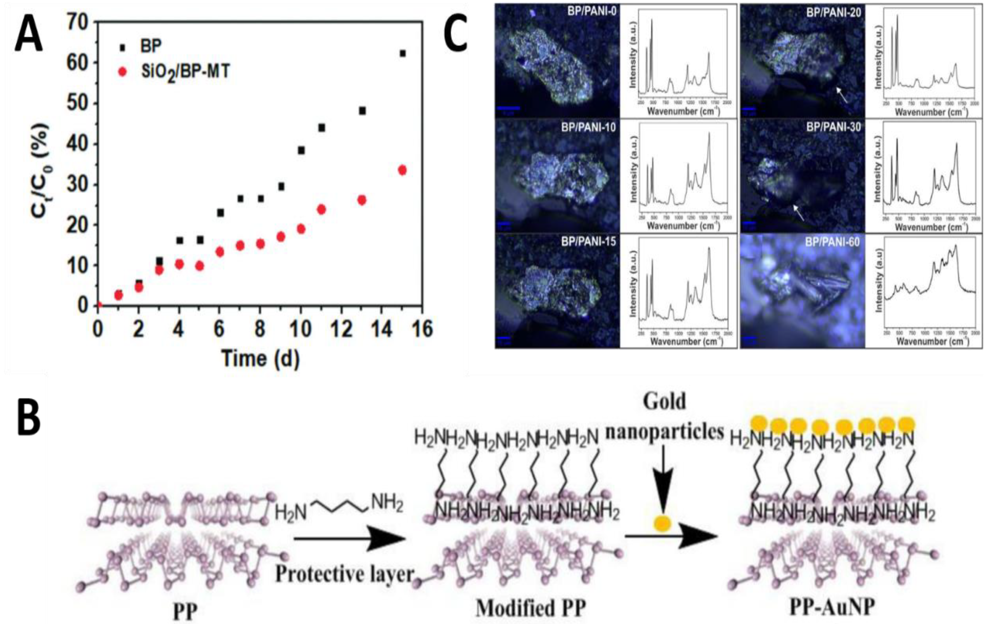 Molecules 27 05845 g006