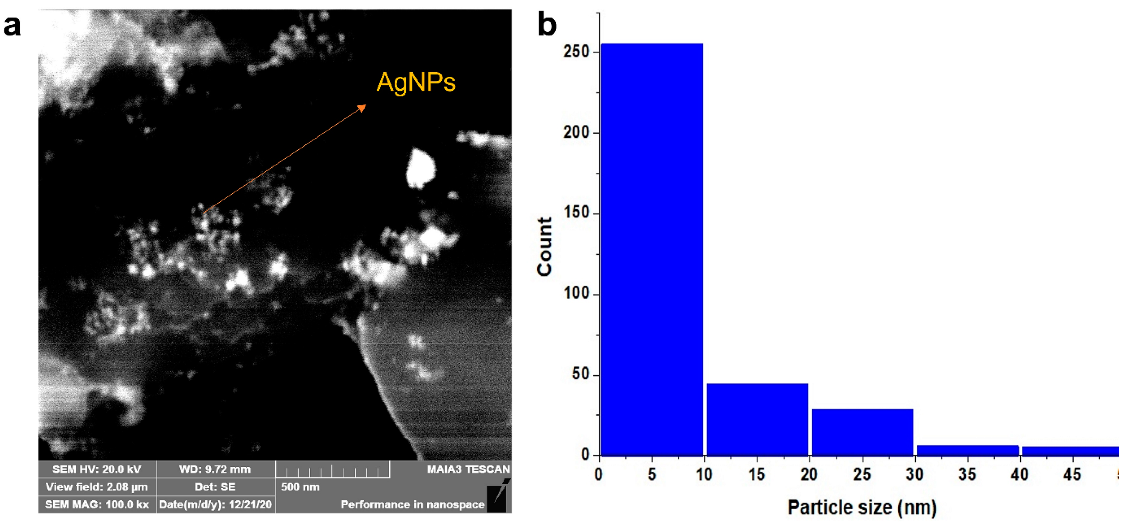 Molecules 27 05847 g004