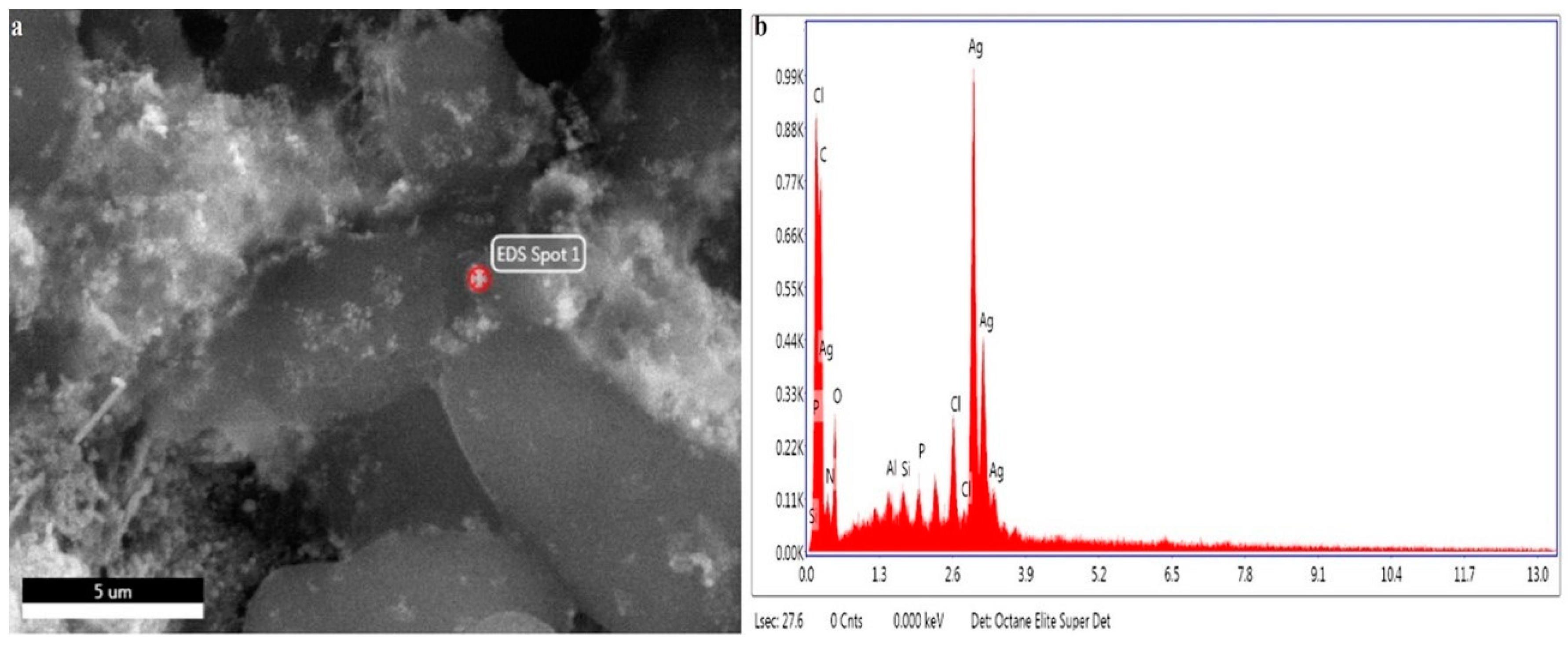 Molecules 27 05847 g005