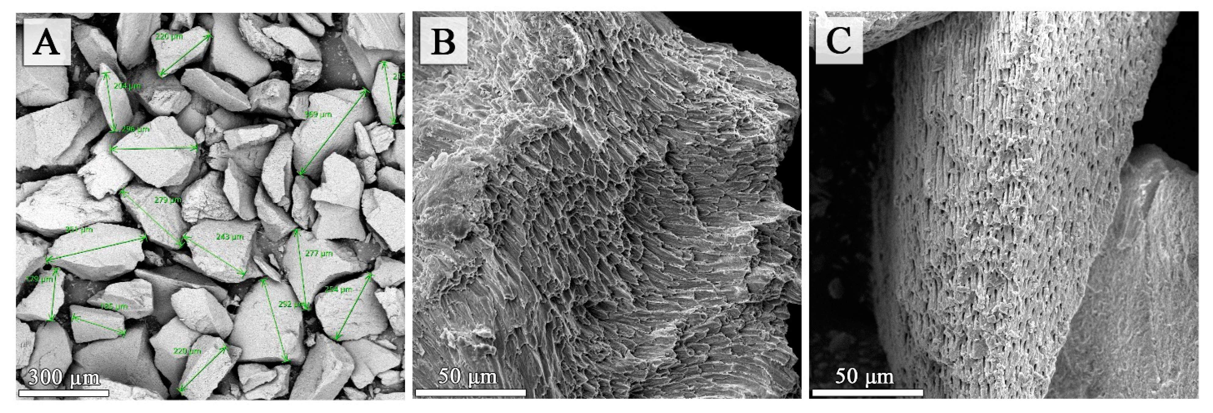 Molecules 27 05852 g004