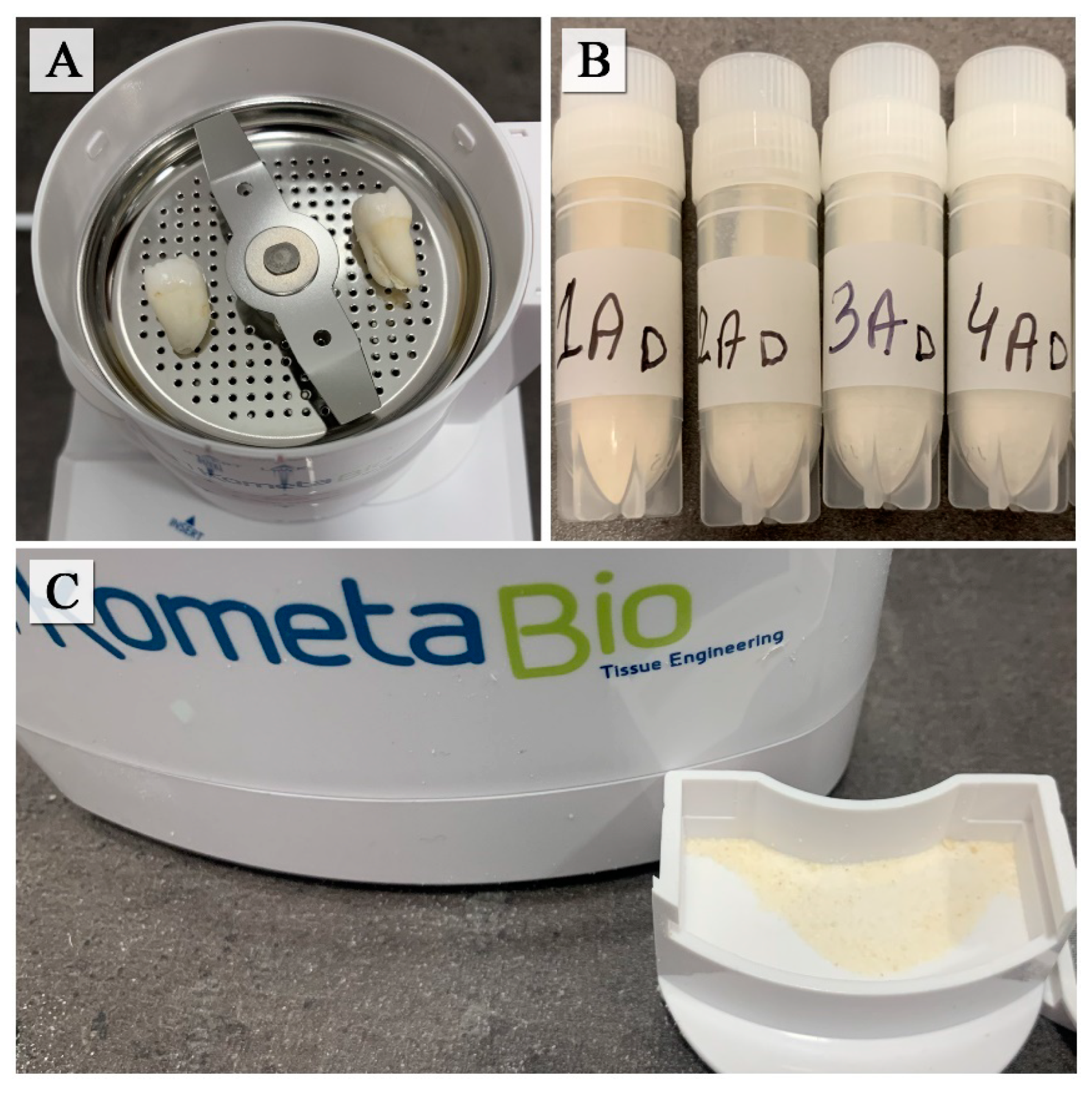 Molecules 27 05852 g006