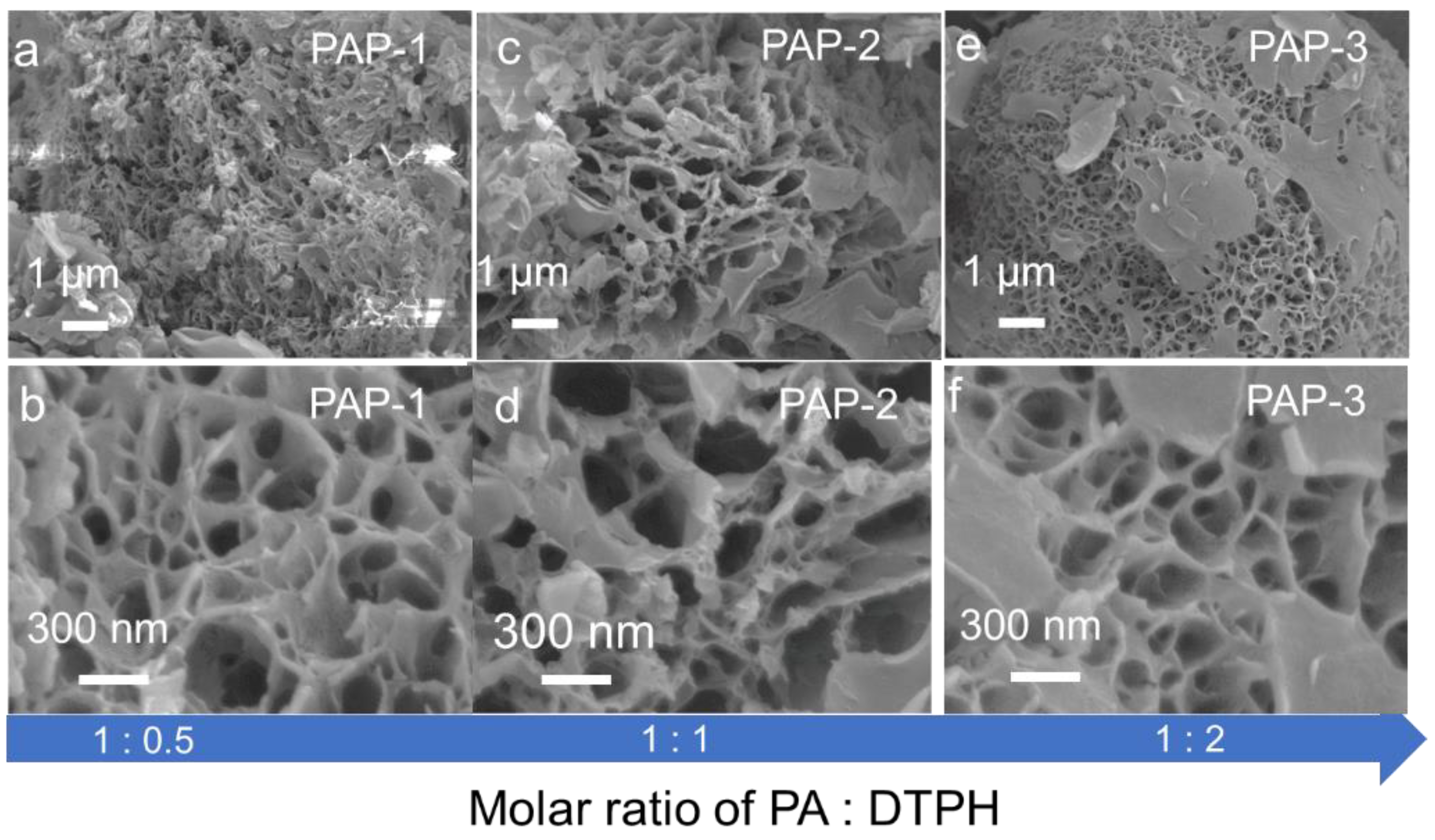 Molecules 27 05853 g003