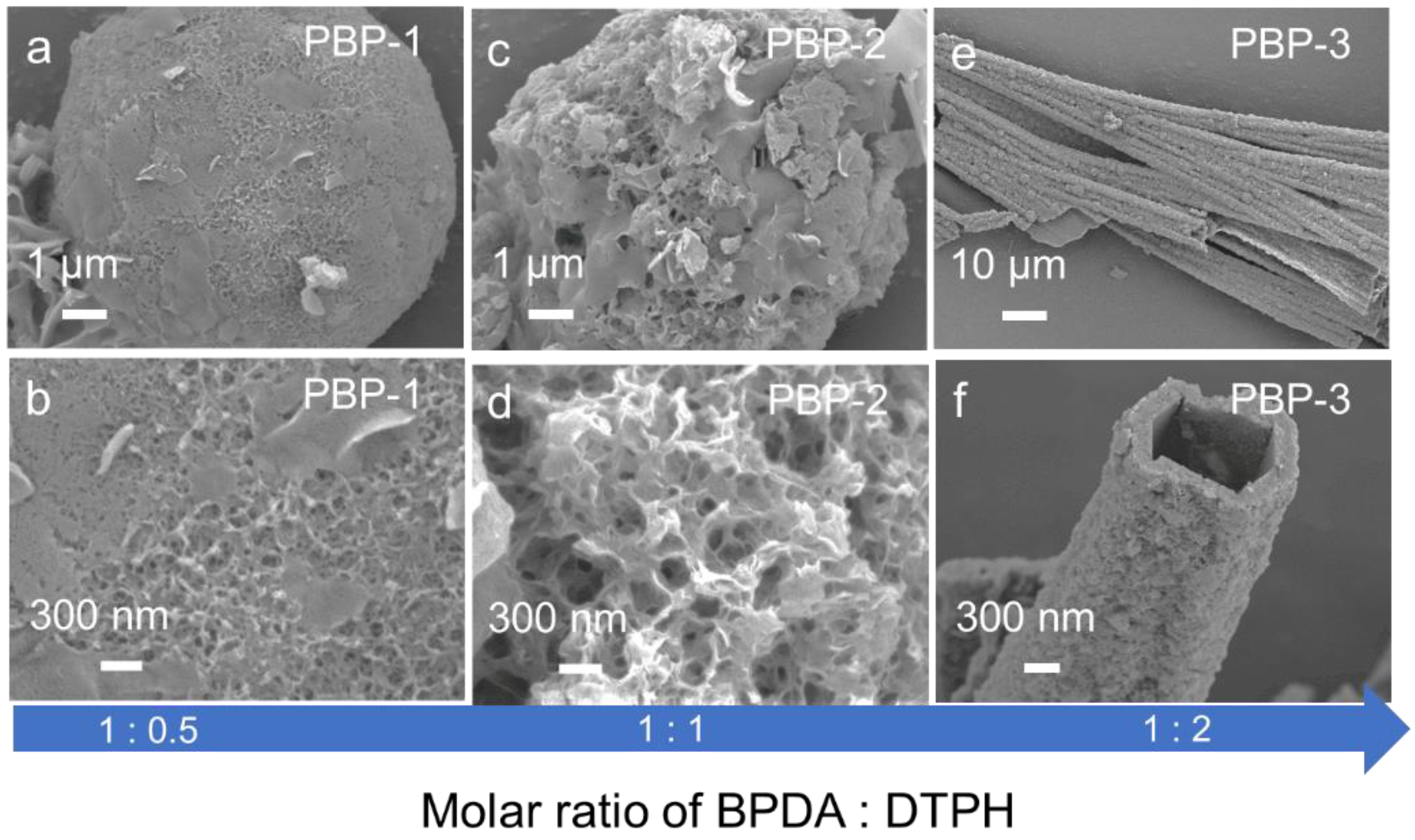 Molecules 27 05853 g005