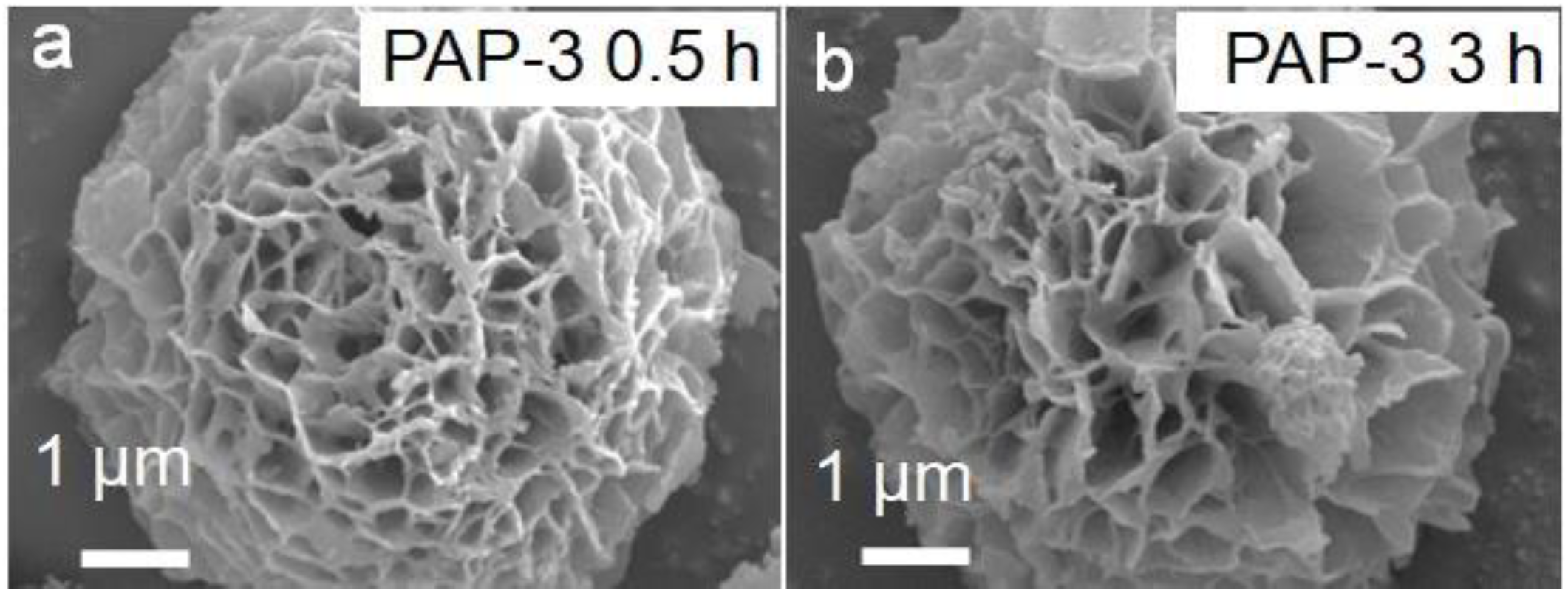 Molecules 27 05853 g006