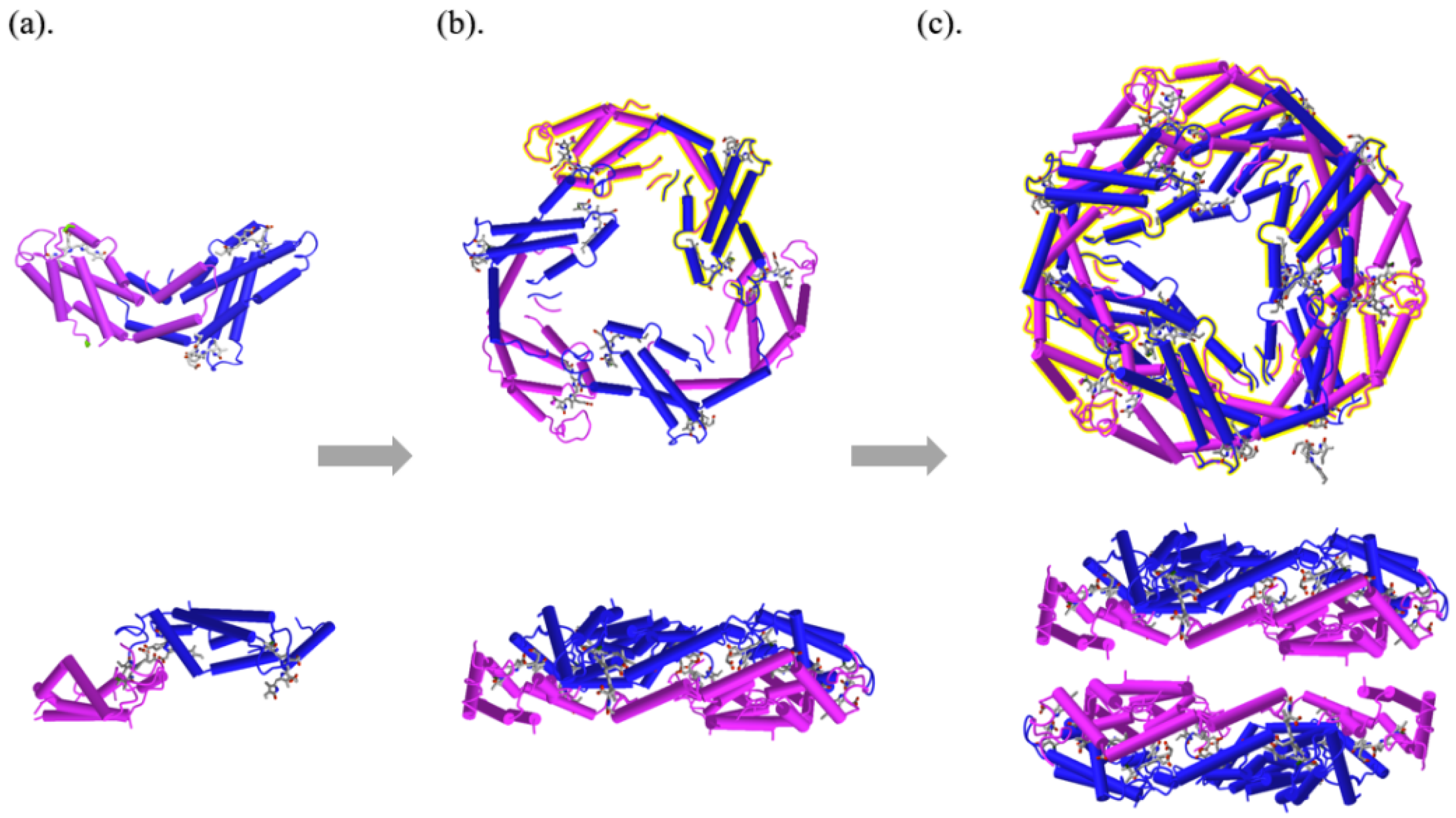 Molecules 27 05854 g002