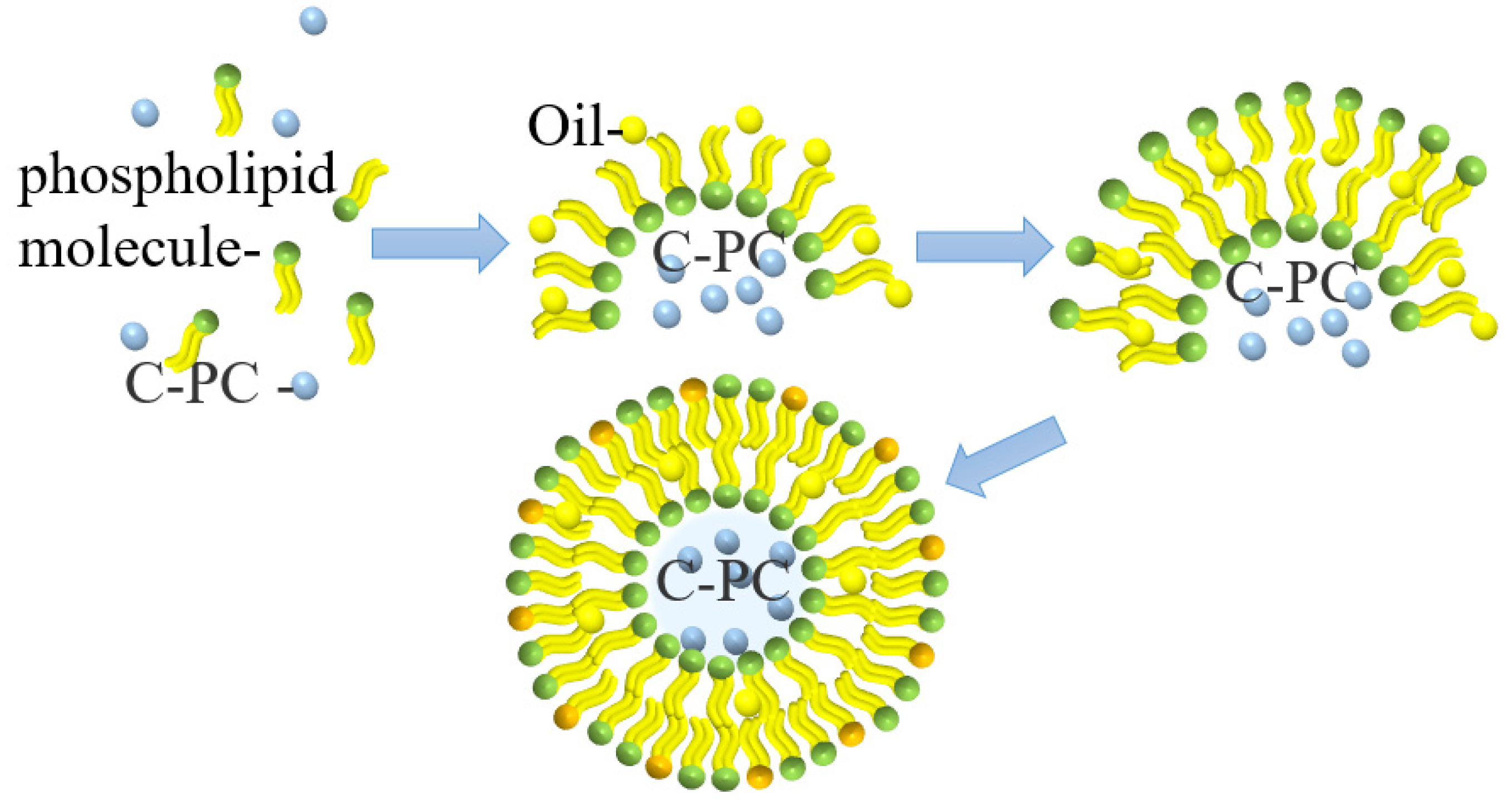 Molecules 27 05854 g006