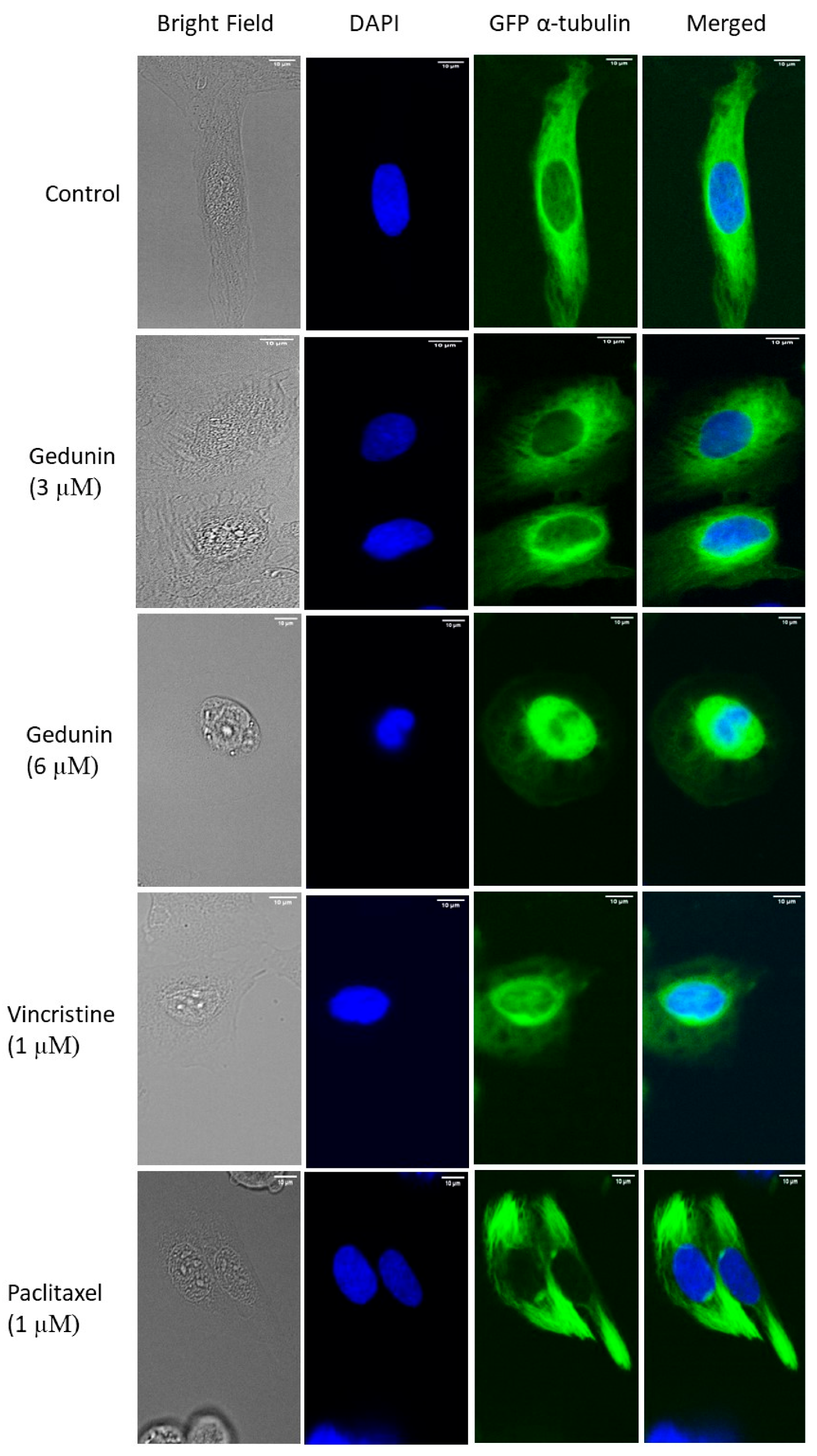 Molecules 27 05858 g006 550