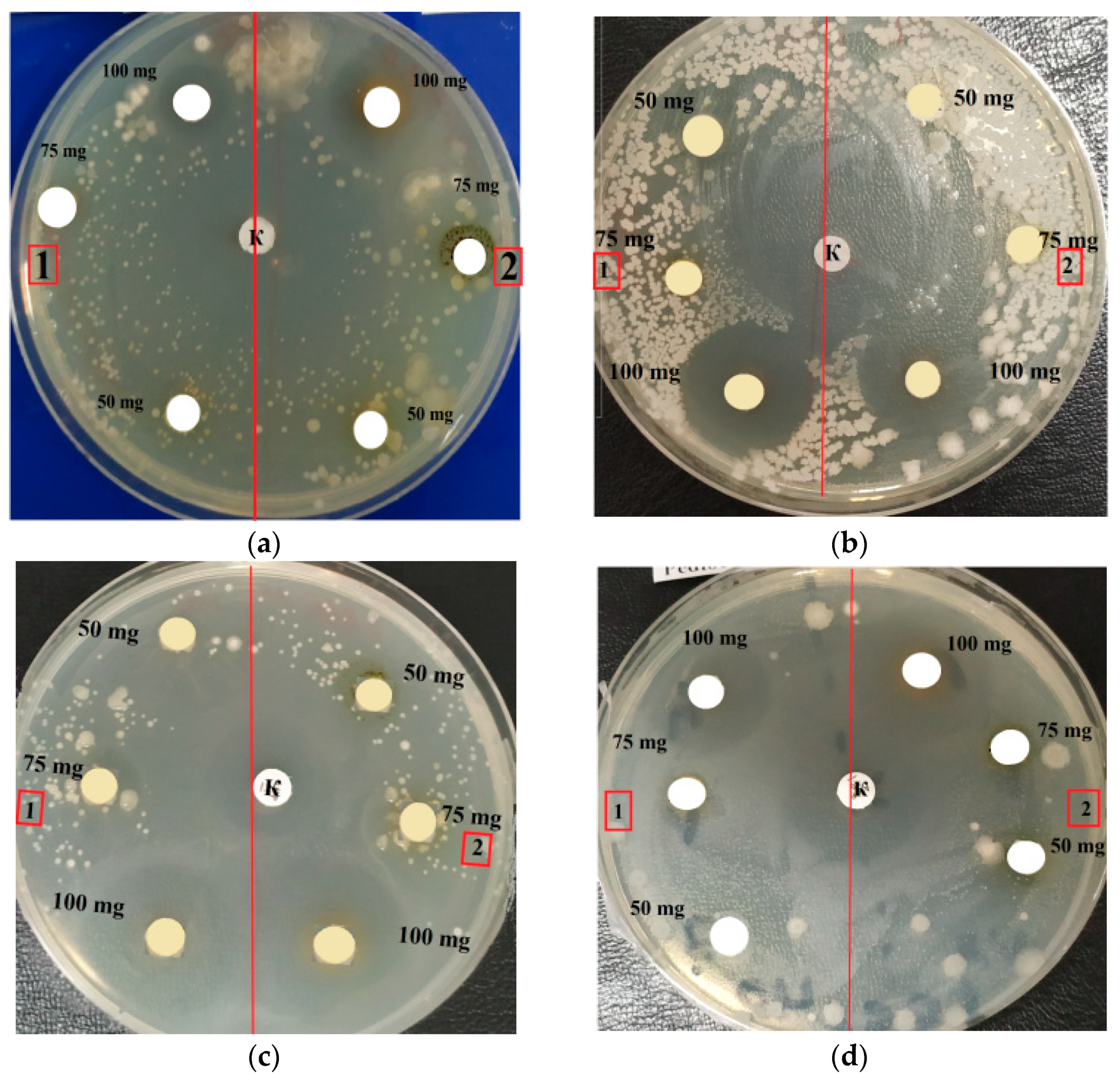 Molecules 27 05871 g003
