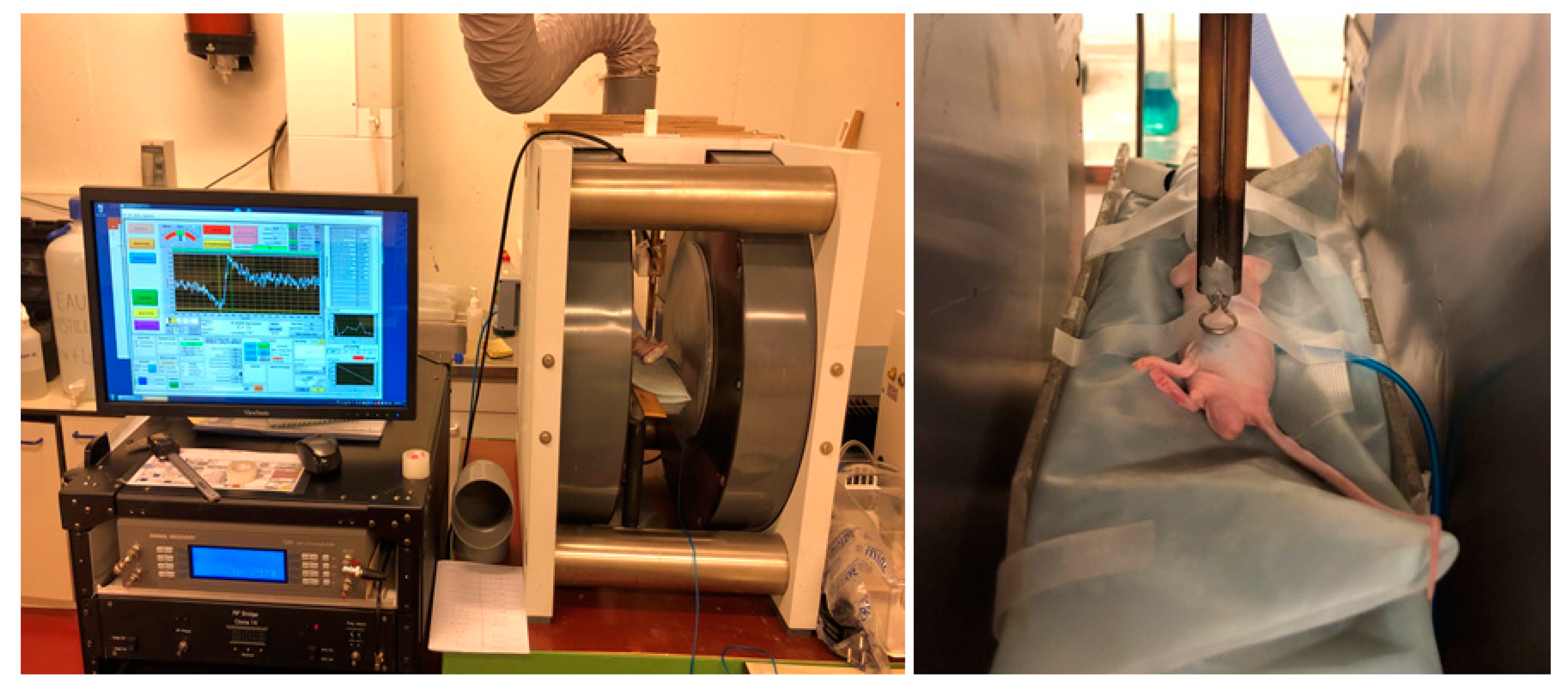 Molecules 27 05872 g008