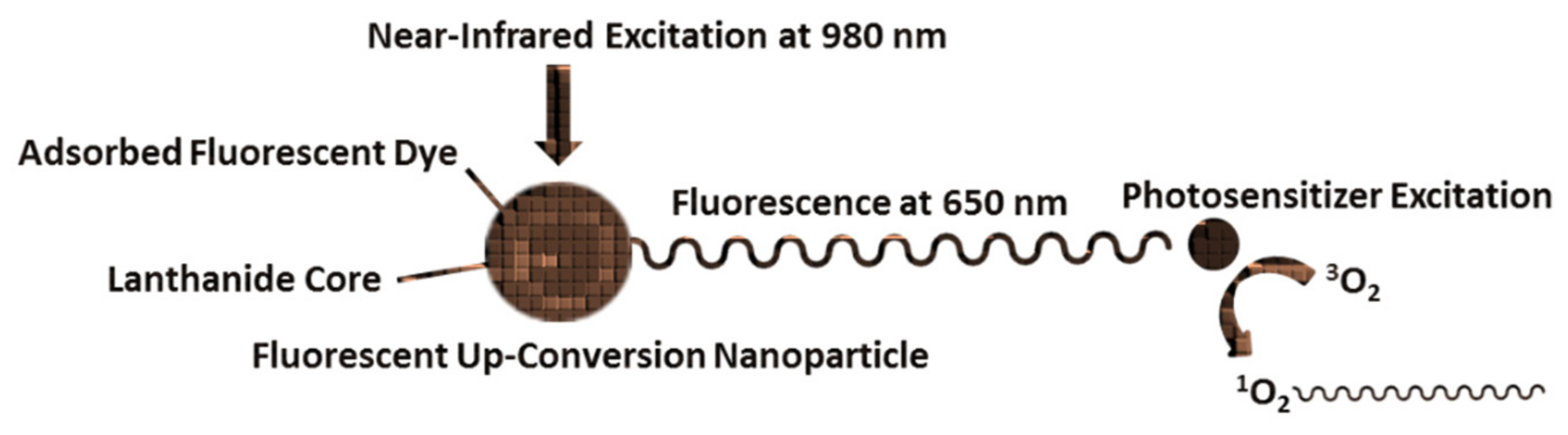 Molecules 27 05874 g001 550