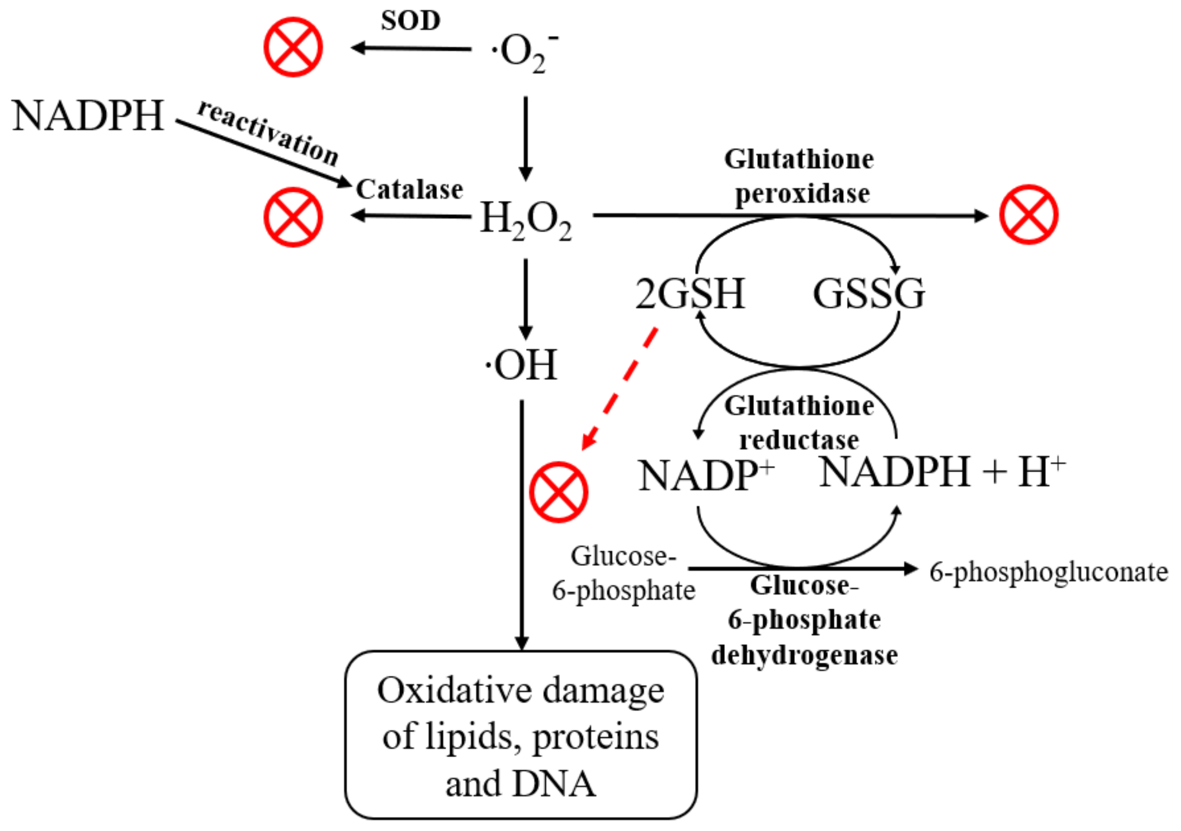 Molecules 27 05894 g009 Molecules 27 05894 g009