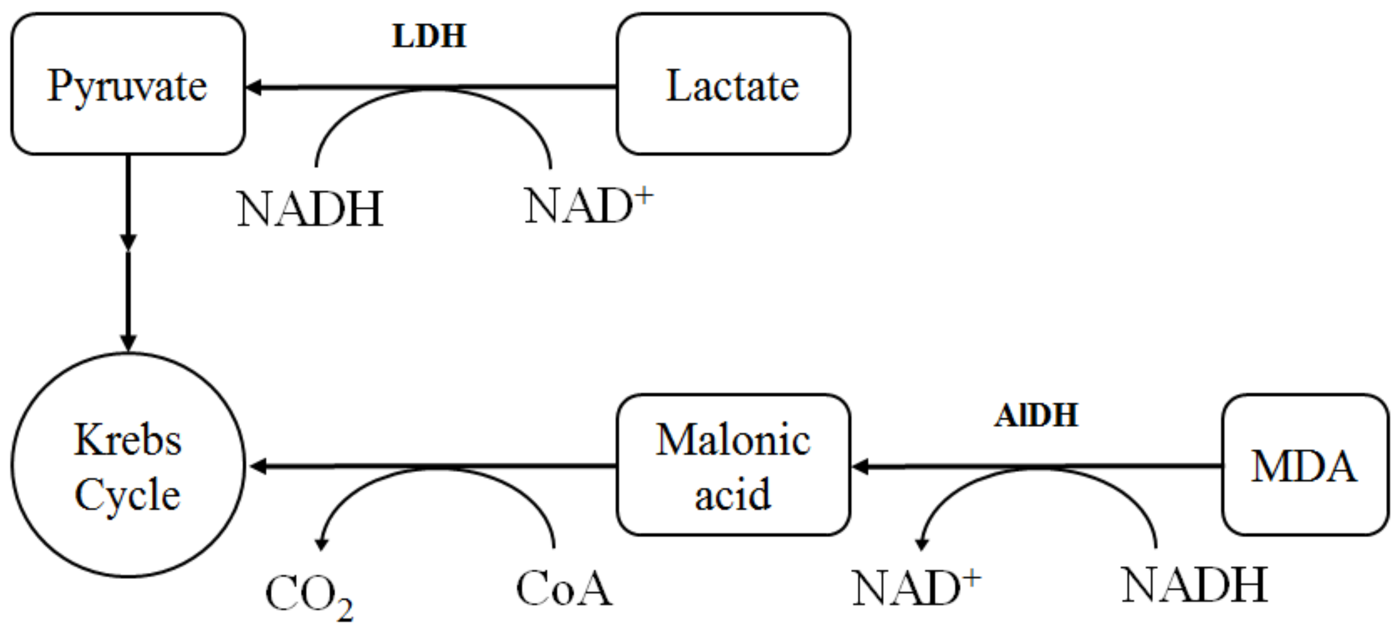 Molecules 27 05894 g010 Molecules 27 05894 g010