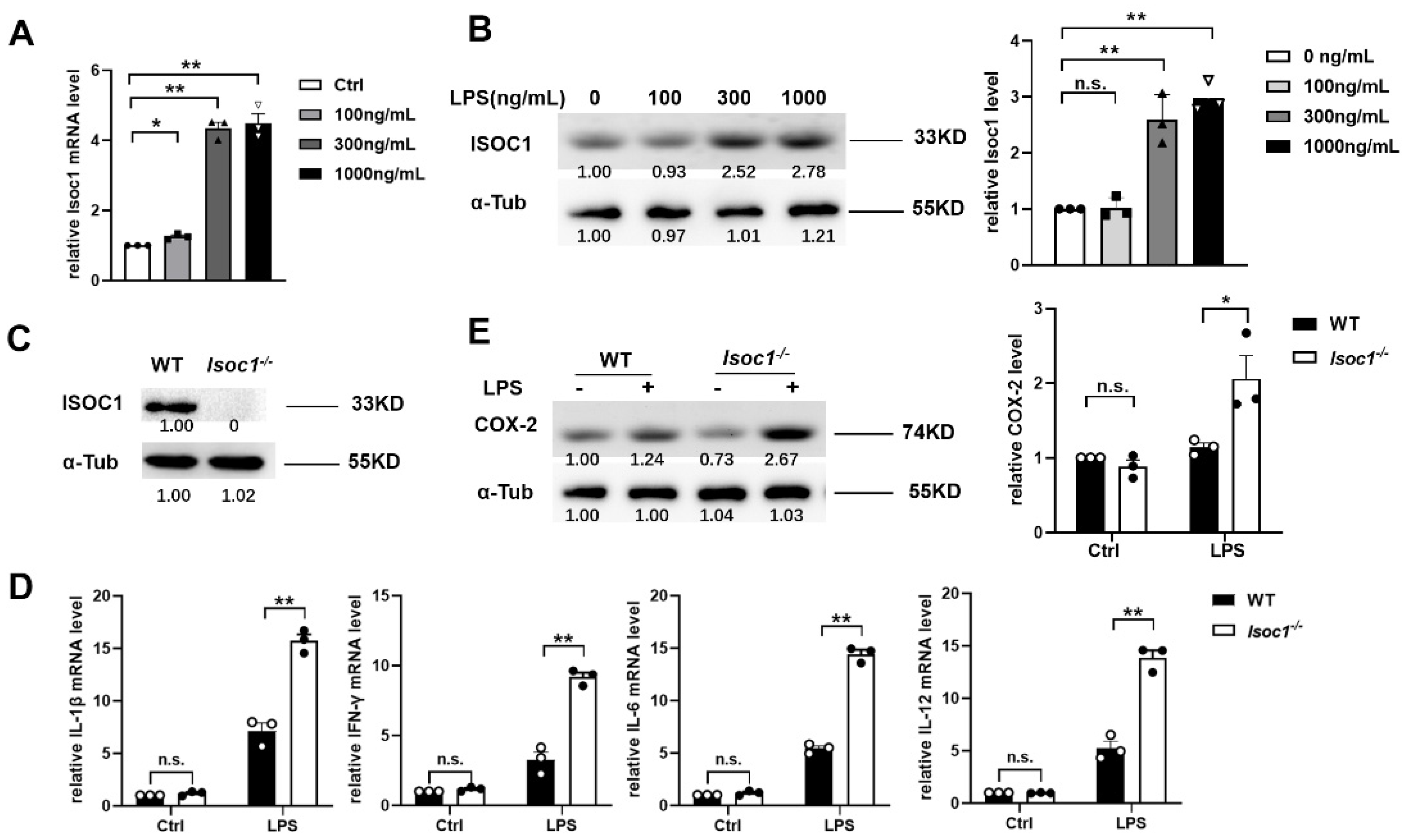 Molecules 27 05896 g001