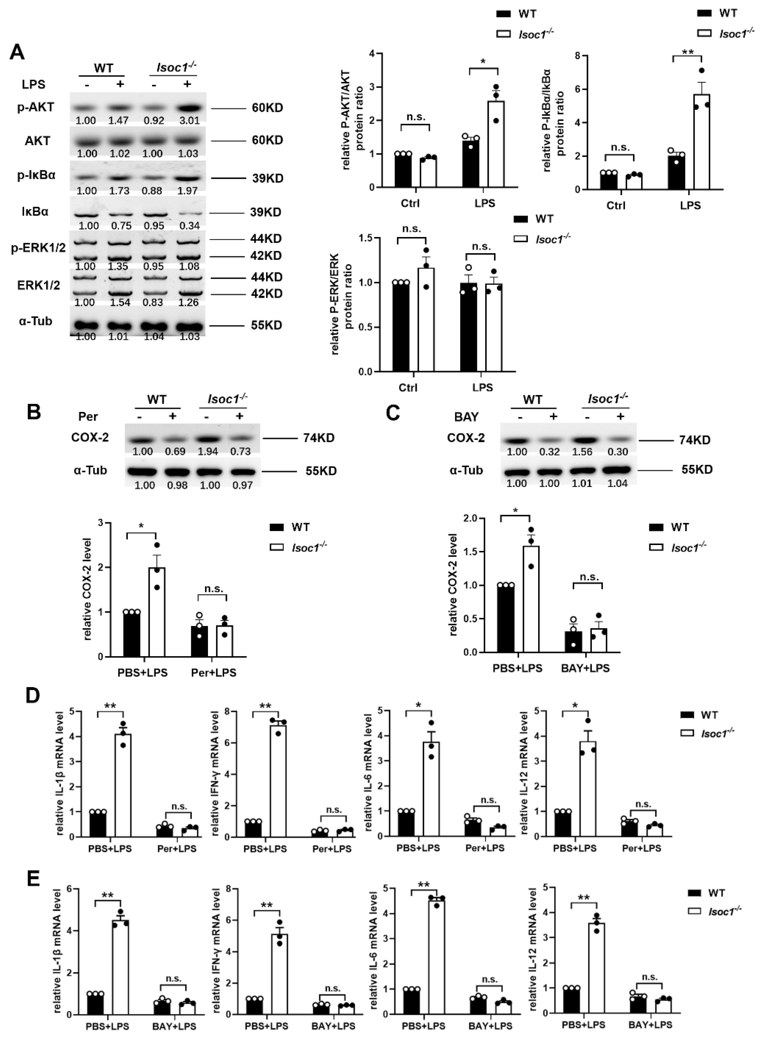 Molecules 27 05896 g002