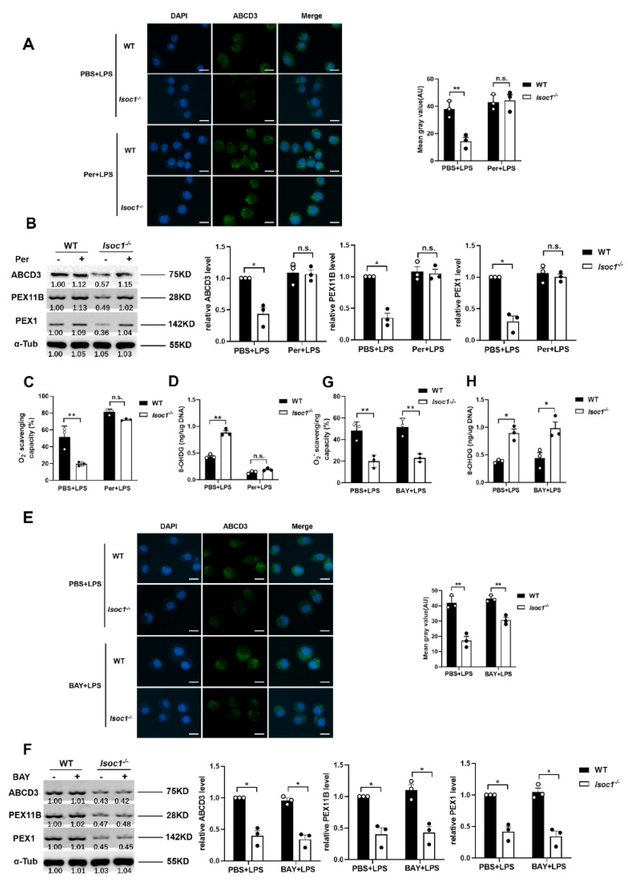 Molecules 27 05896 g004