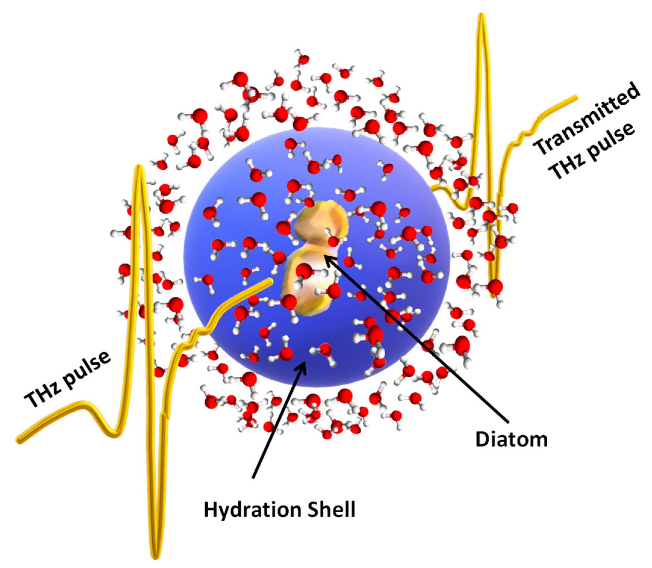 Molecules 27 05897 g001 550