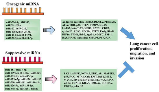 Polyphenols as Lung Cancer Chemopreventive Agents by