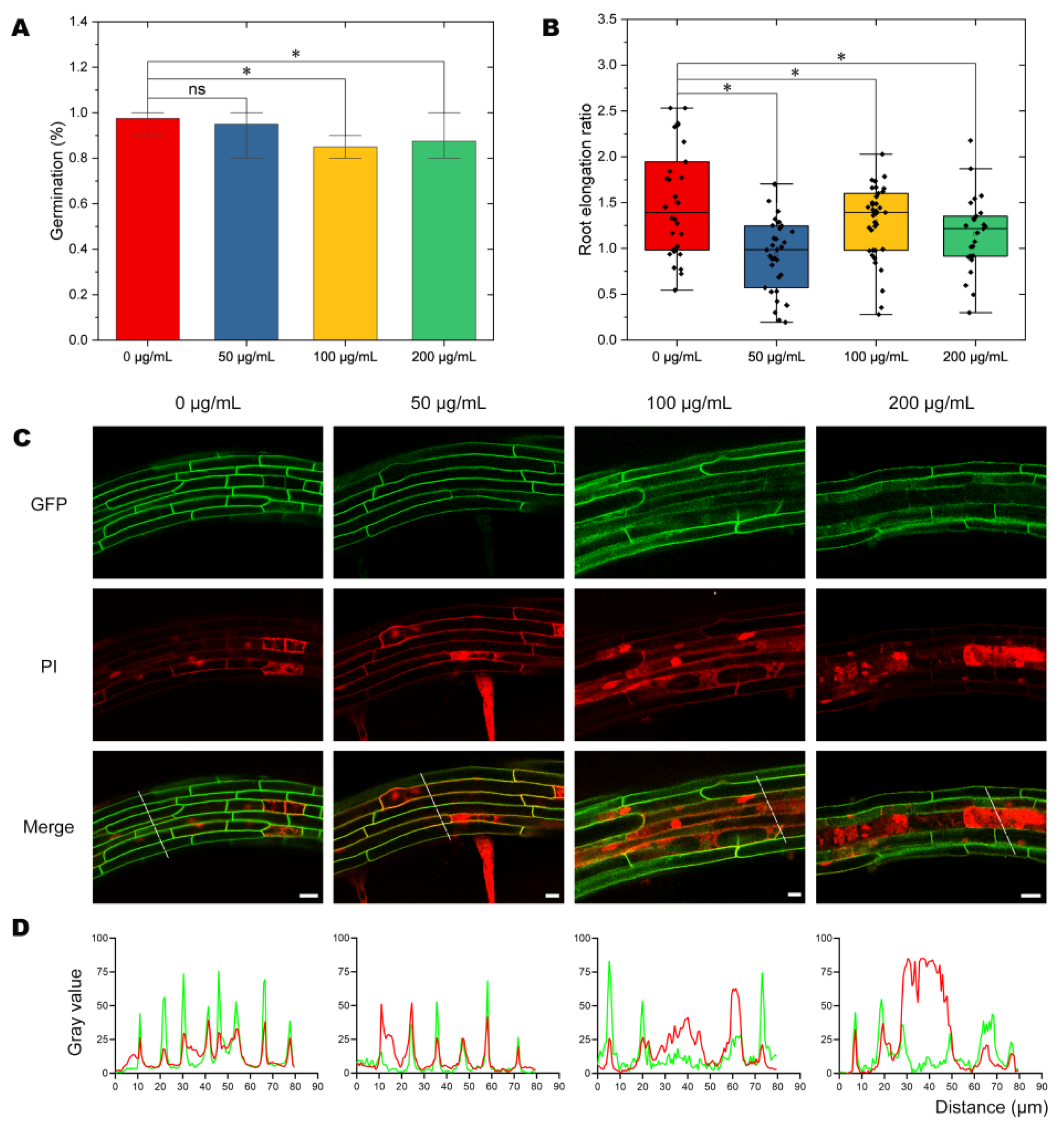 Molecules 27 05906 g001