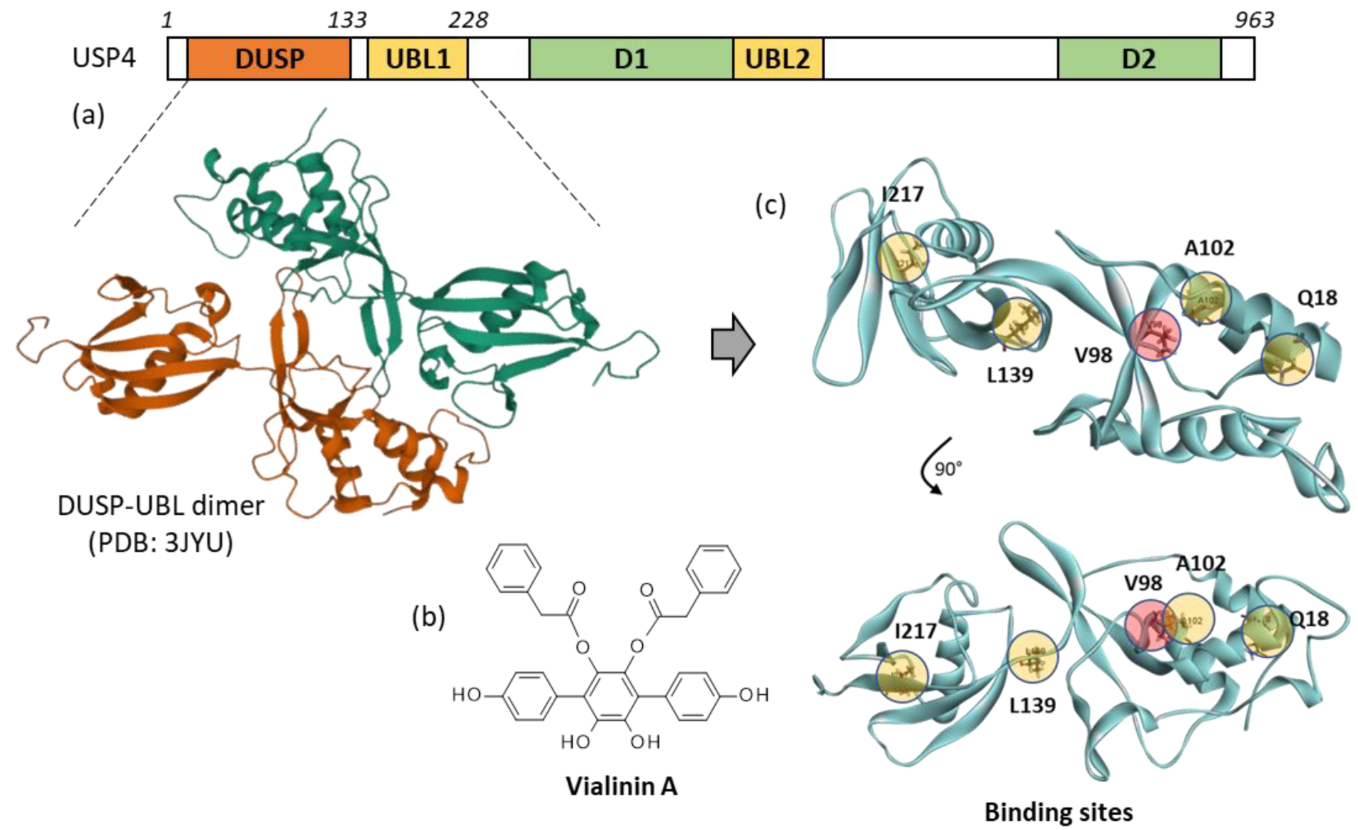 Molecules 27 05909 g001 Molecules 27 05909 g001