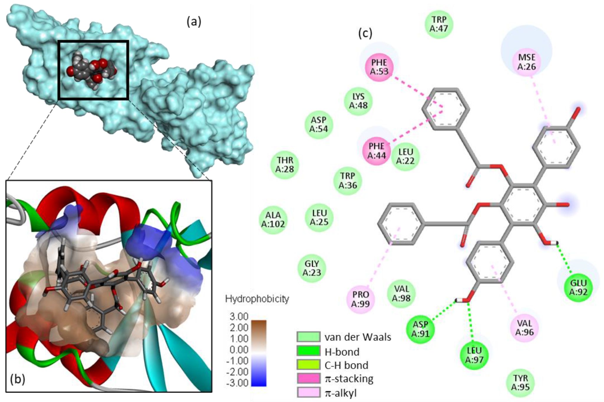 Molecules 27 05909 g002 Molecules 27 05909 g002