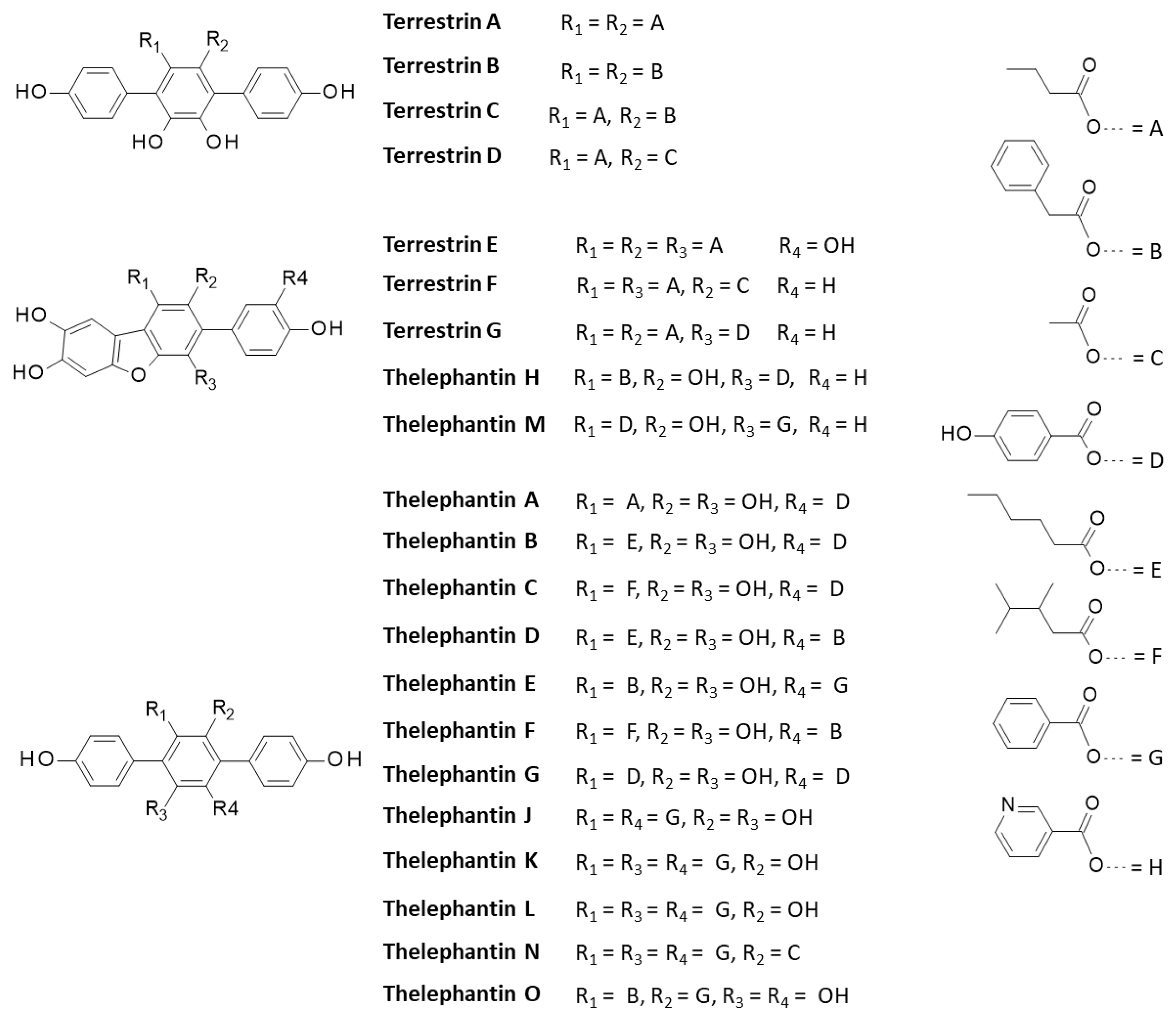 Molecules 27 05909 g004 Molecules 27 05909 g004