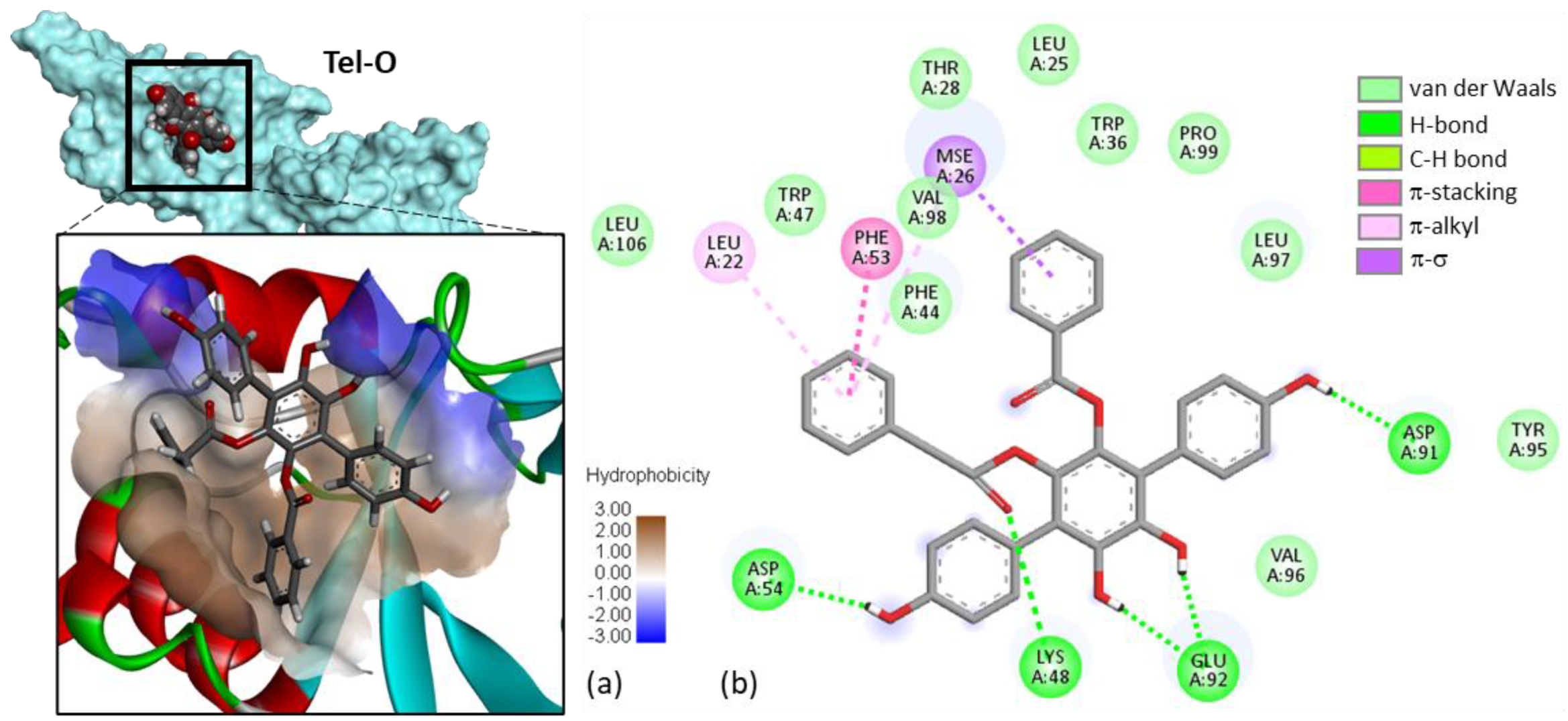 Molecules 27 05909 g005 Molecules 27 05909 g005