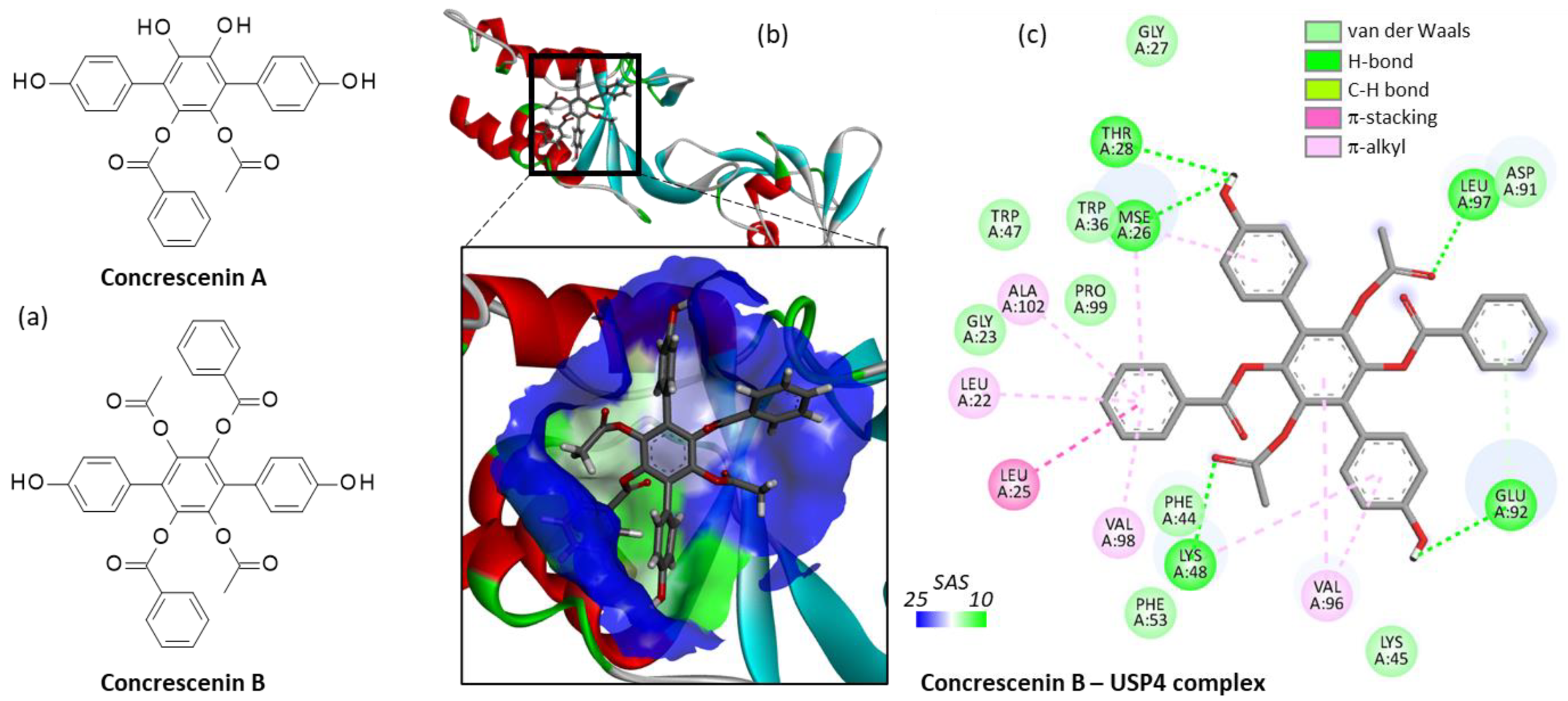 Molecules 27 05909 g006 Molecules 27 05909 g006