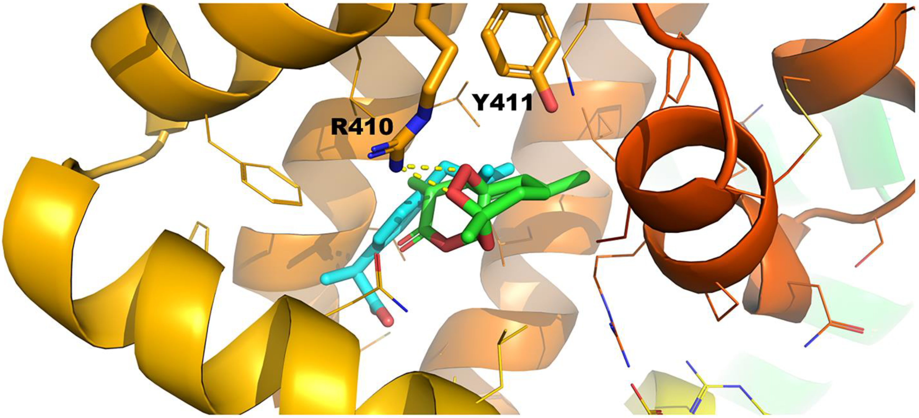 Molecules 27 05912 g010