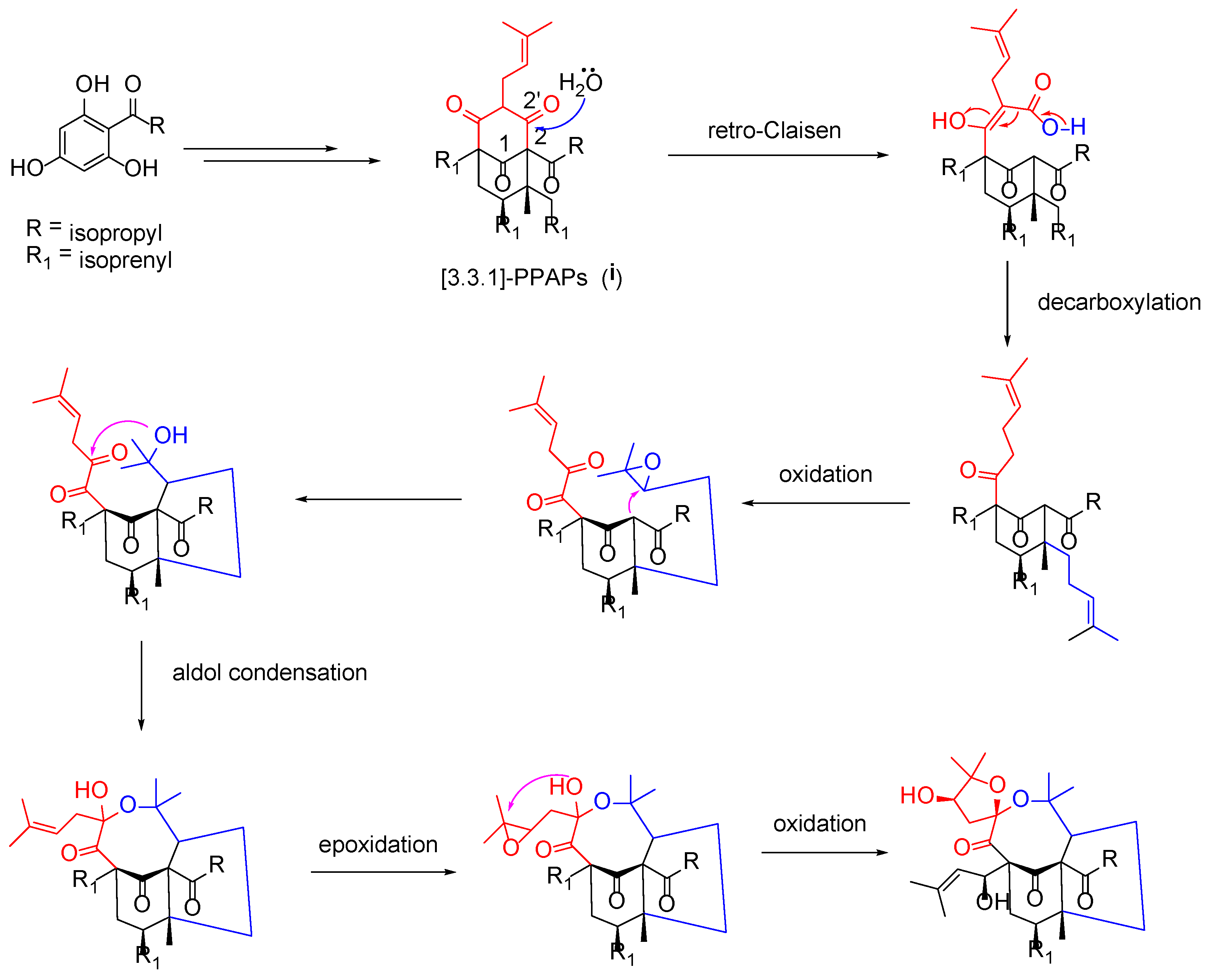 Molecules 27 05932 g005