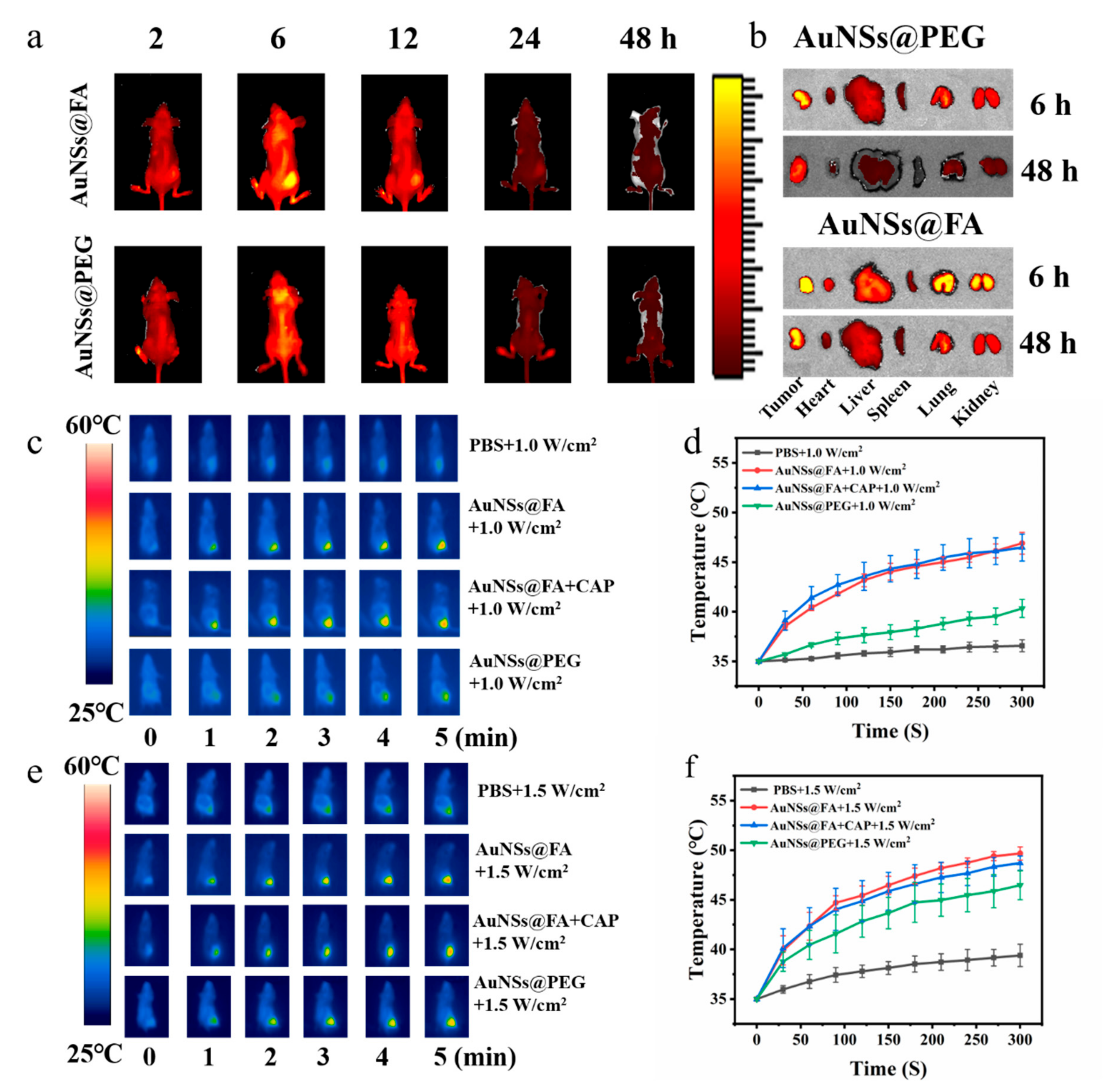 Molecules 27 05941 g006 550