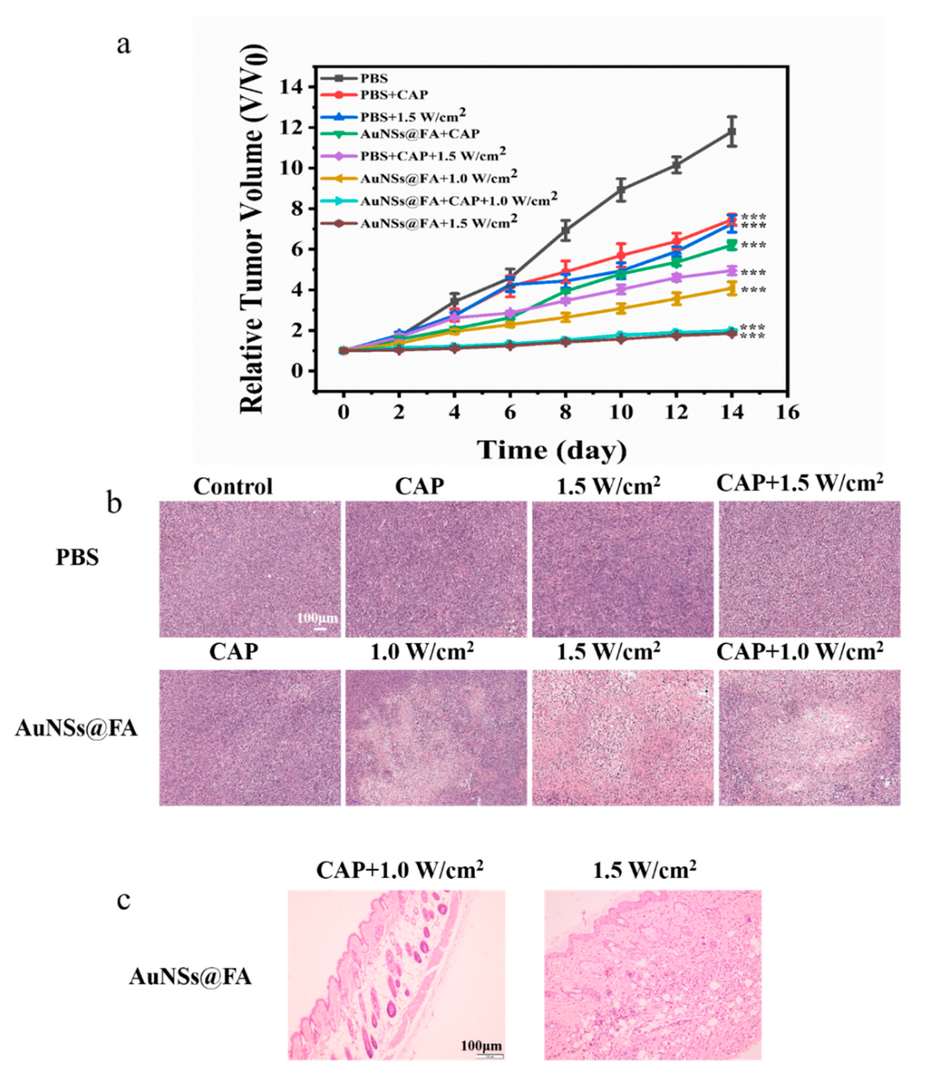Molecules 27 05941 g007 550