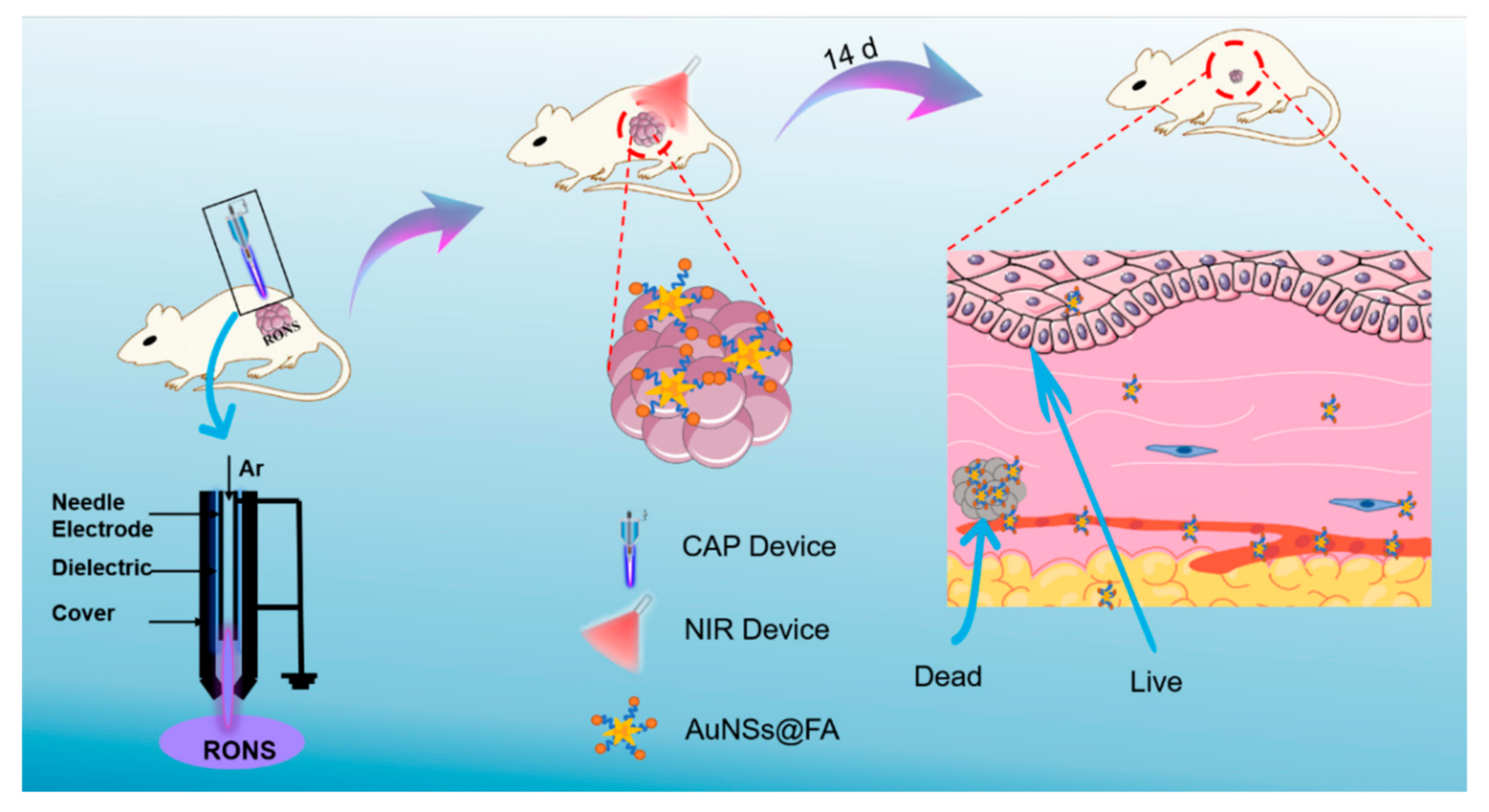 Molecules 27 05941 sch001 550
