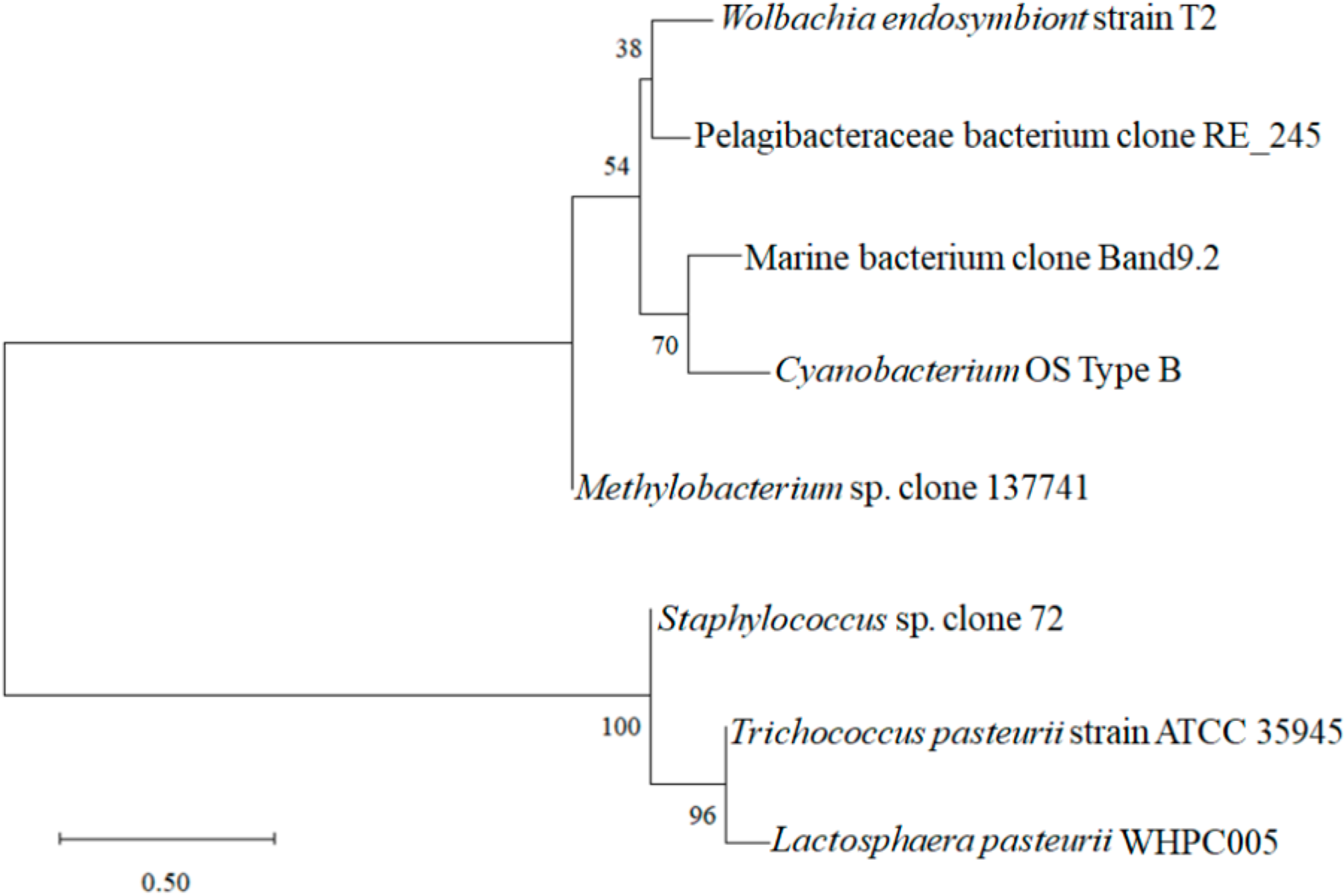 Molecules 27 05942 g003 550