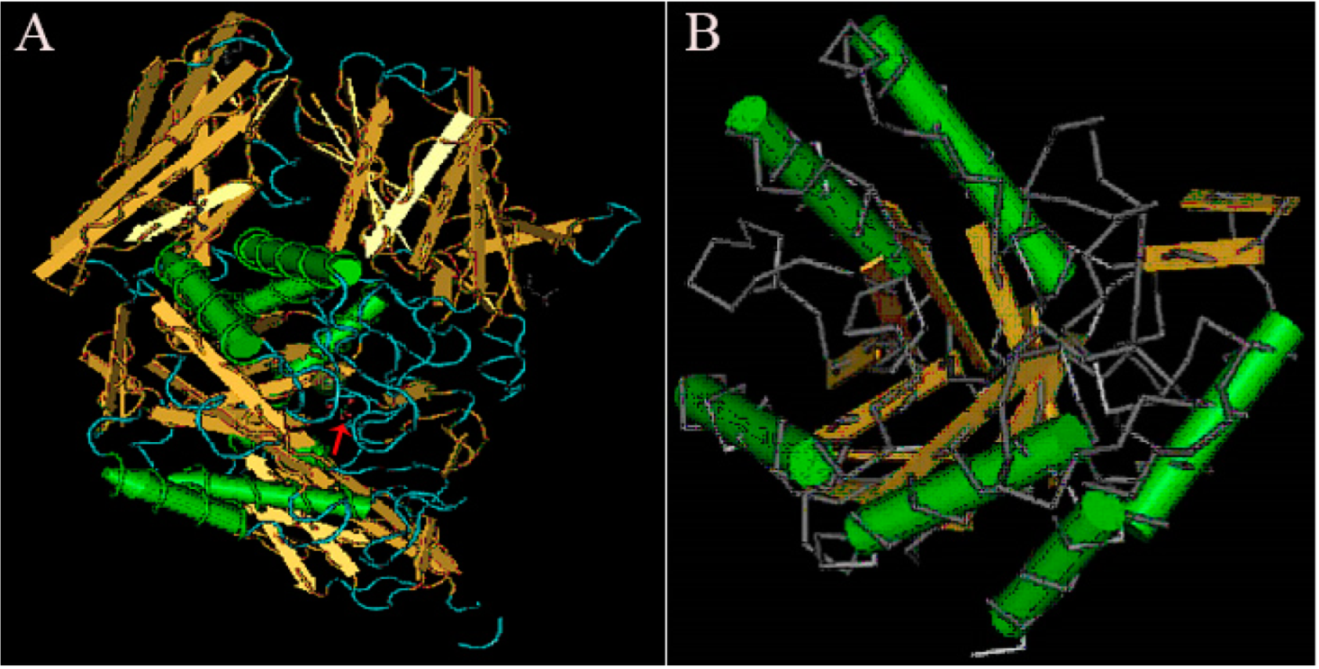 Molecules 27 05942 g007 550