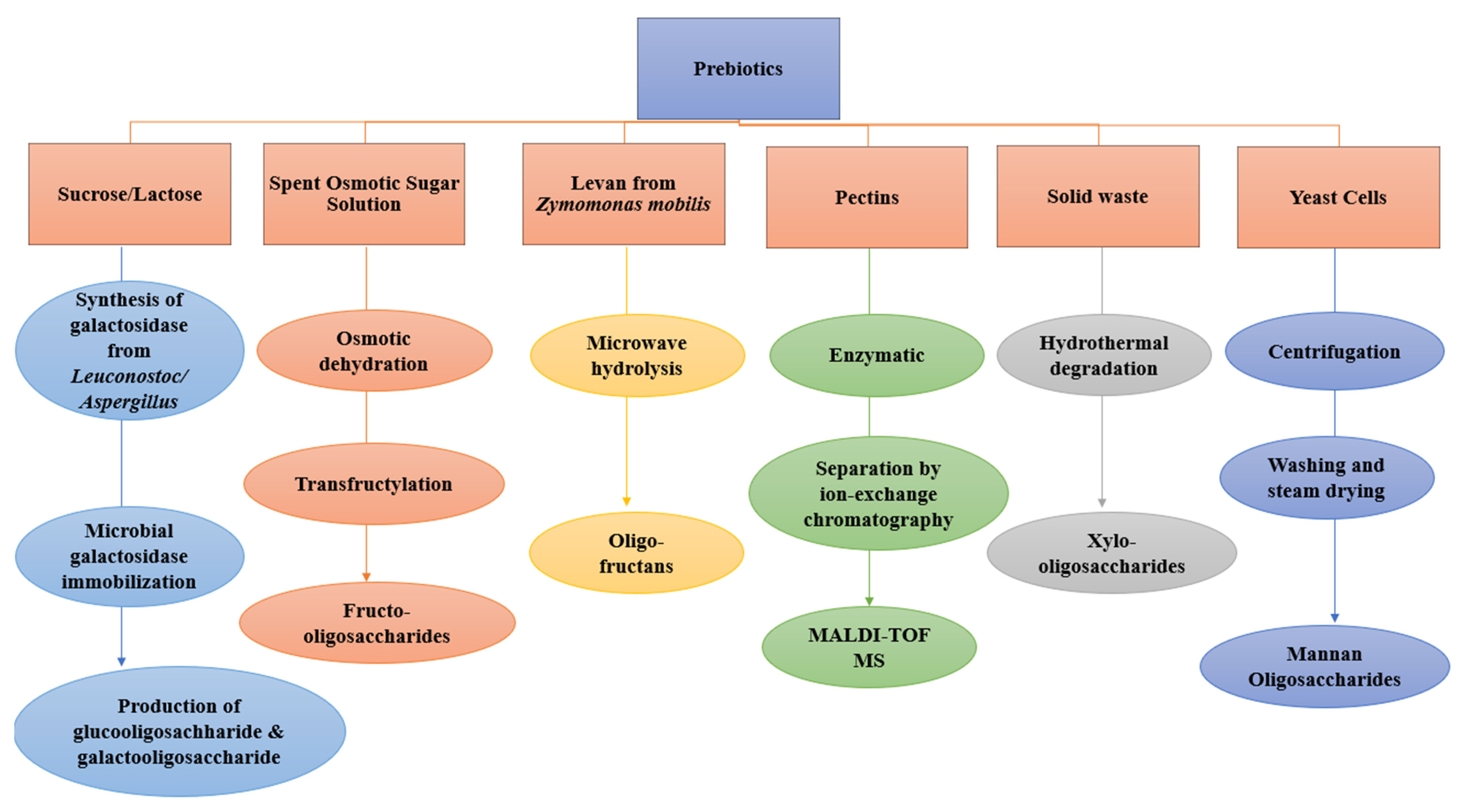 Molecules | Free Full-Text | An Updated Review on Prebiotics: Insights on  Potentials of Food Seeds Waste as Source of Potential Prebiotics