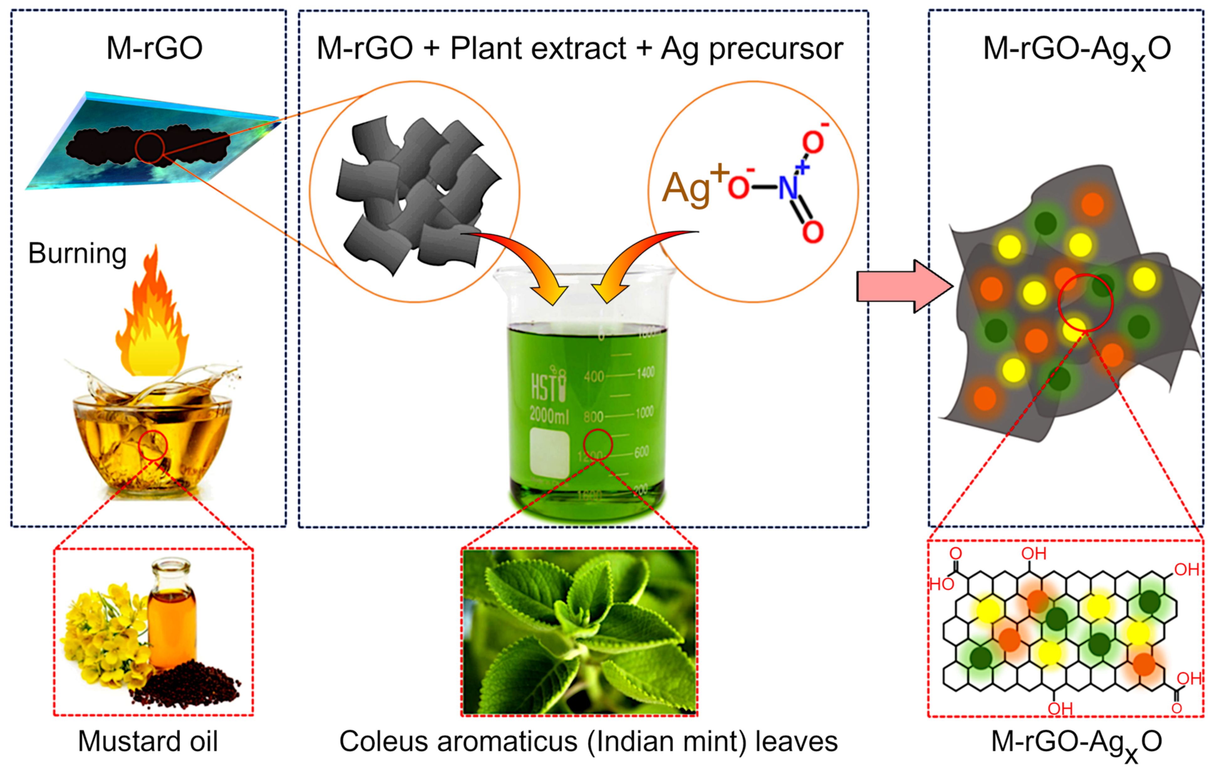 Molecules 27 05950 g001