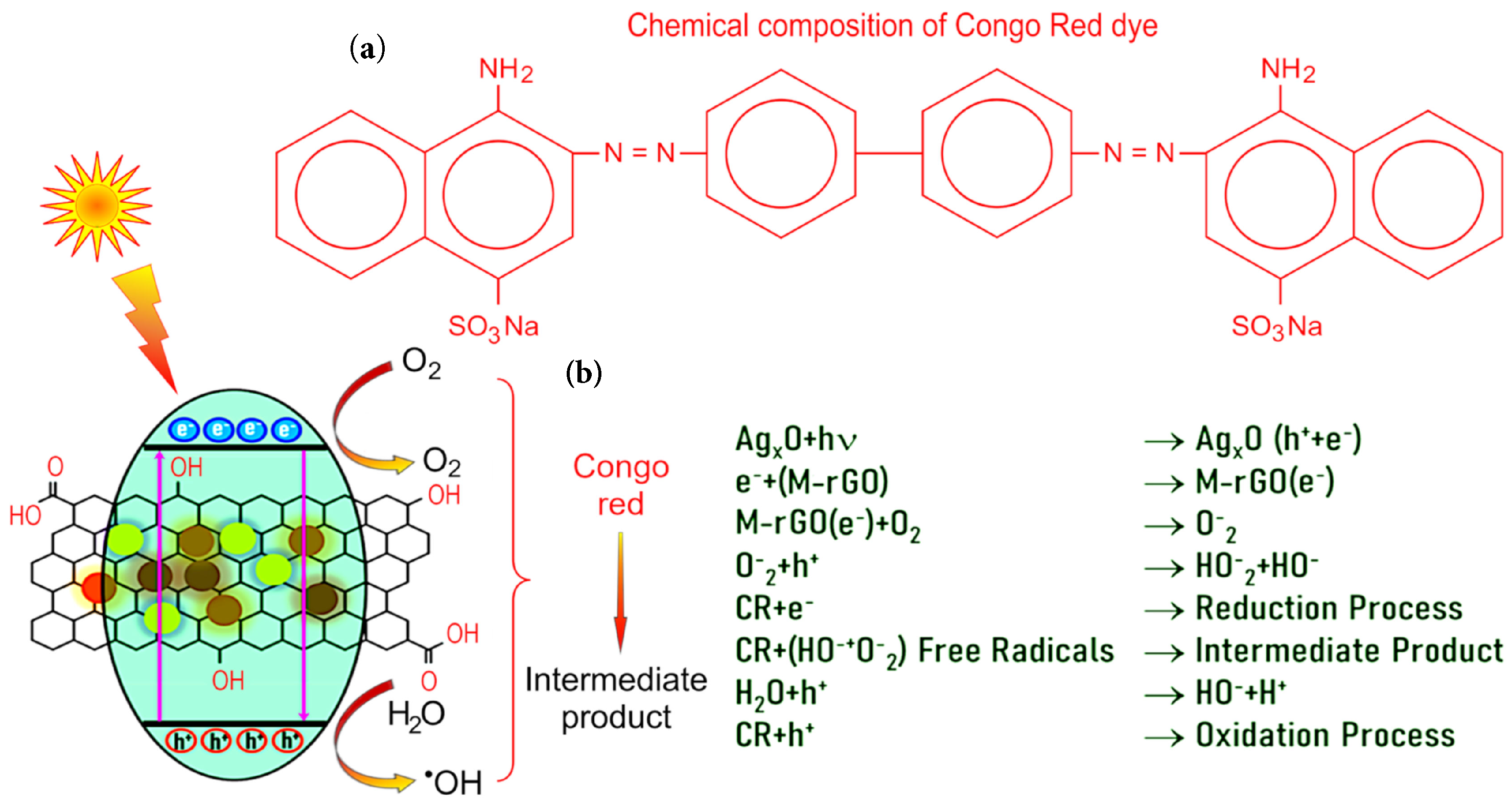 Molecules 27 05950 g006
