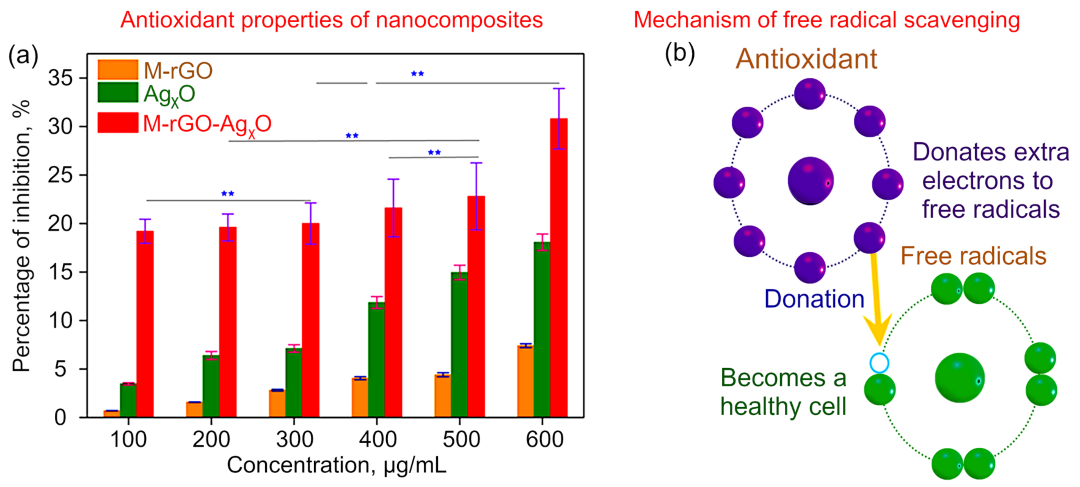 Molecules 27 05950 g008