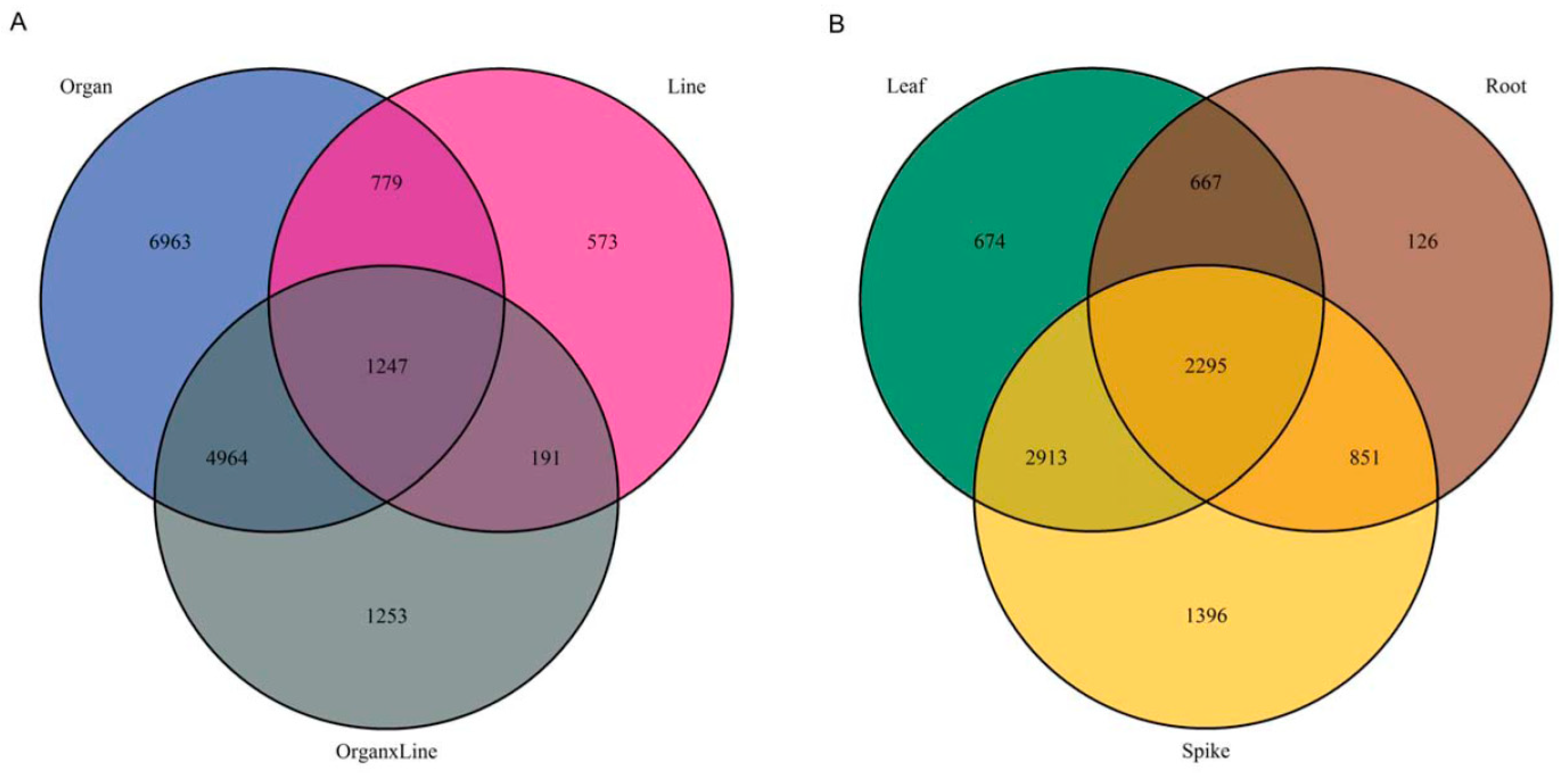 Molecules 27 05956 g002